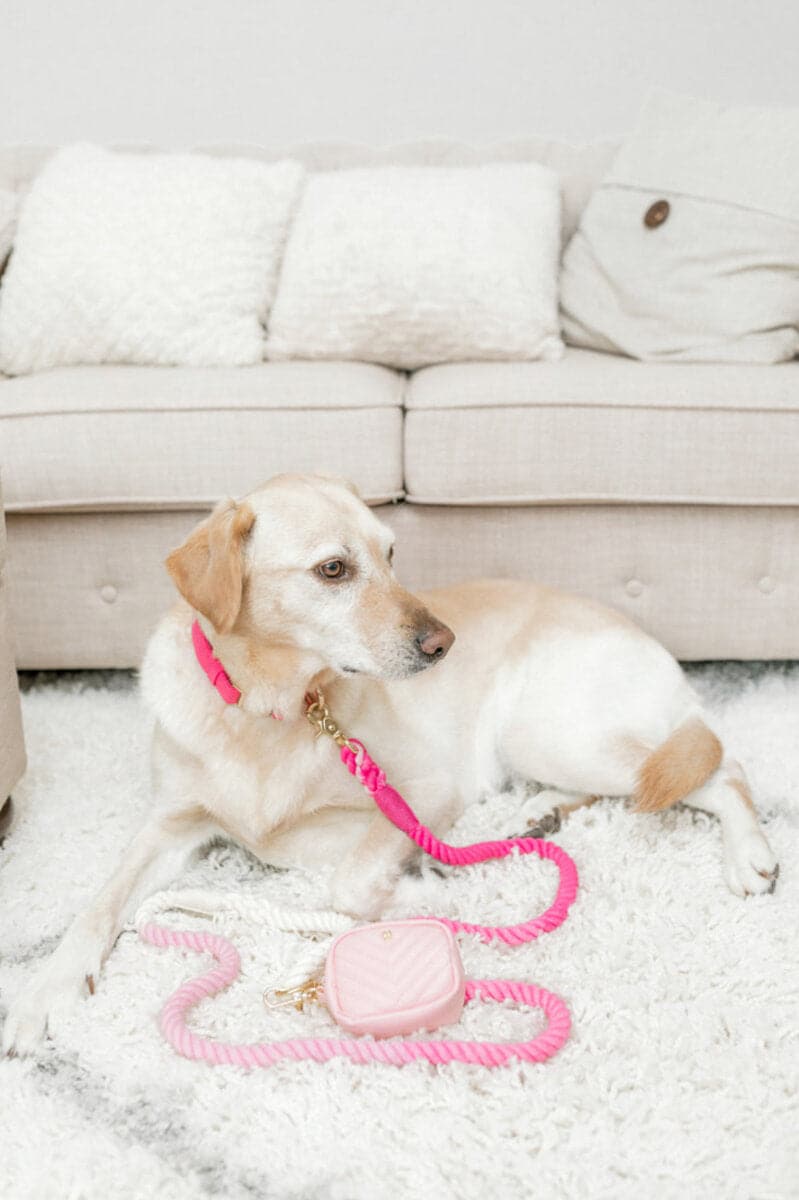 Maggie Rope Dog Leash