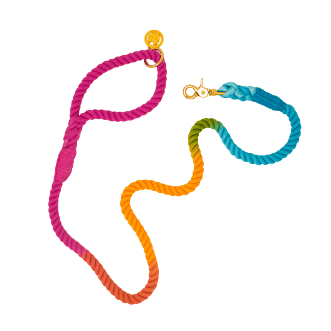 Marley Rope Dog Leash | Pink Papyrus
