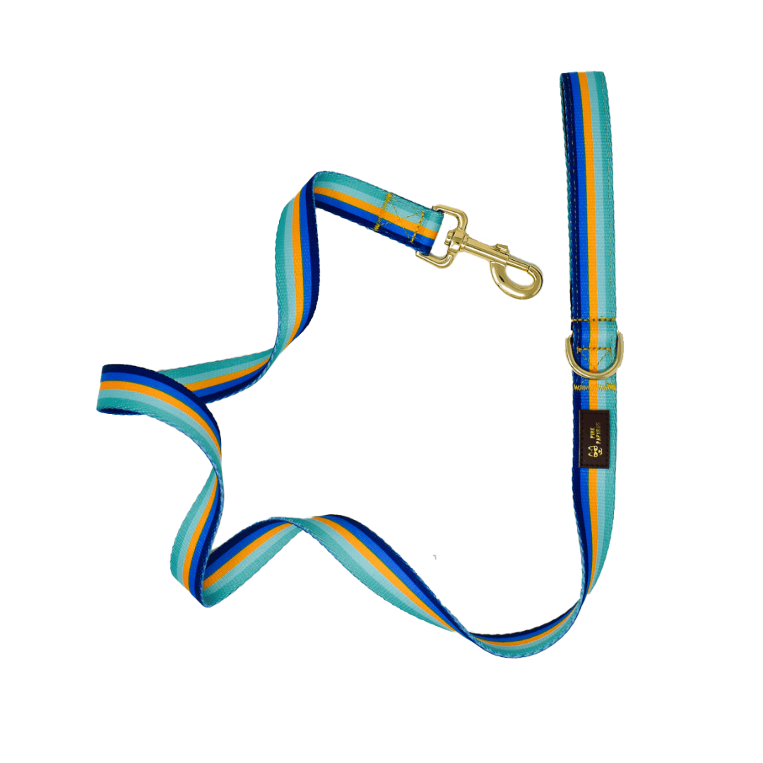 Milo Dog Leash | Pink Papyrus