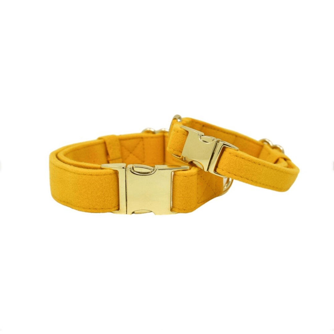 Nova Dog Collar | Pink Papyrus