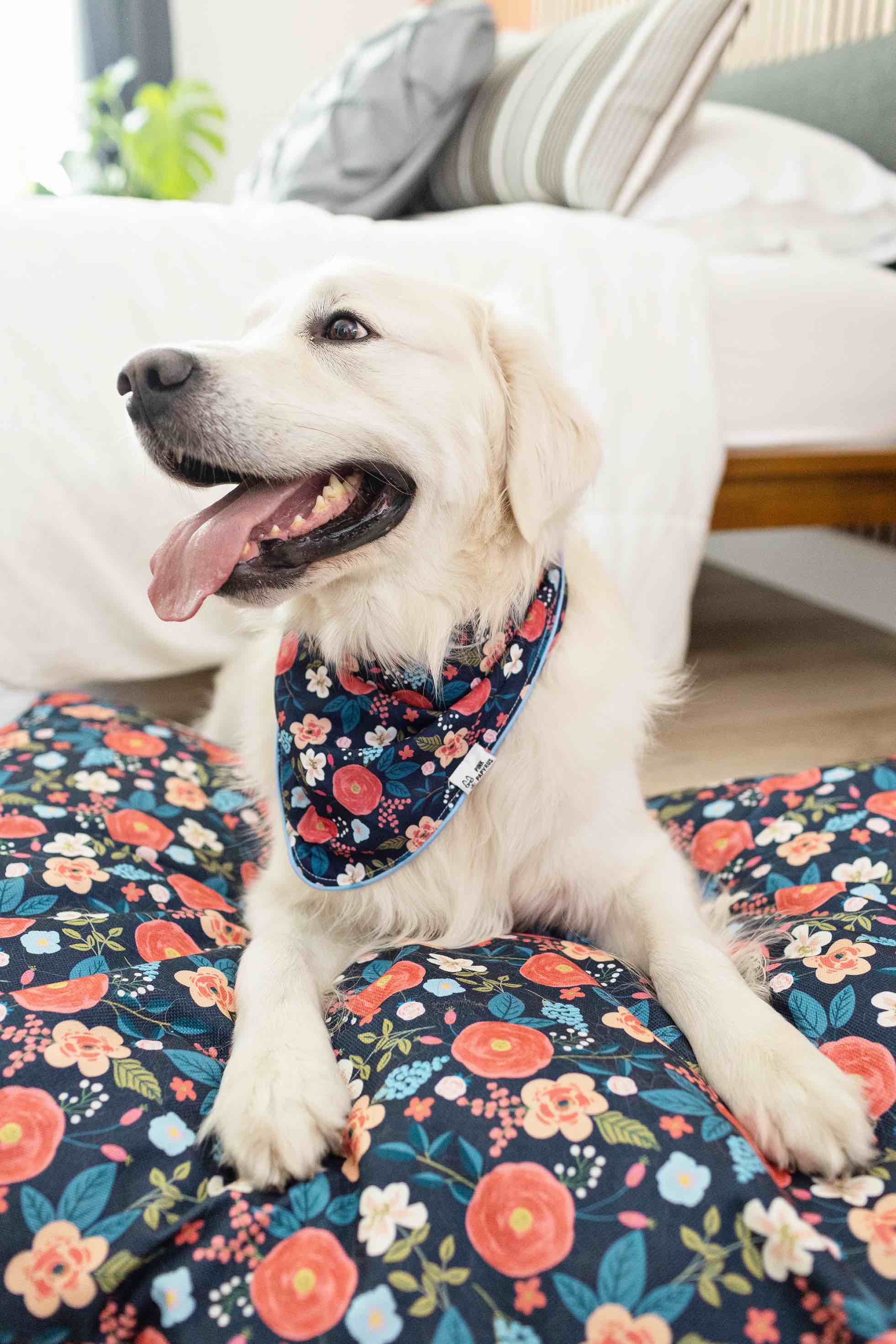 Riley Dog Bandana | Pink Papyrus