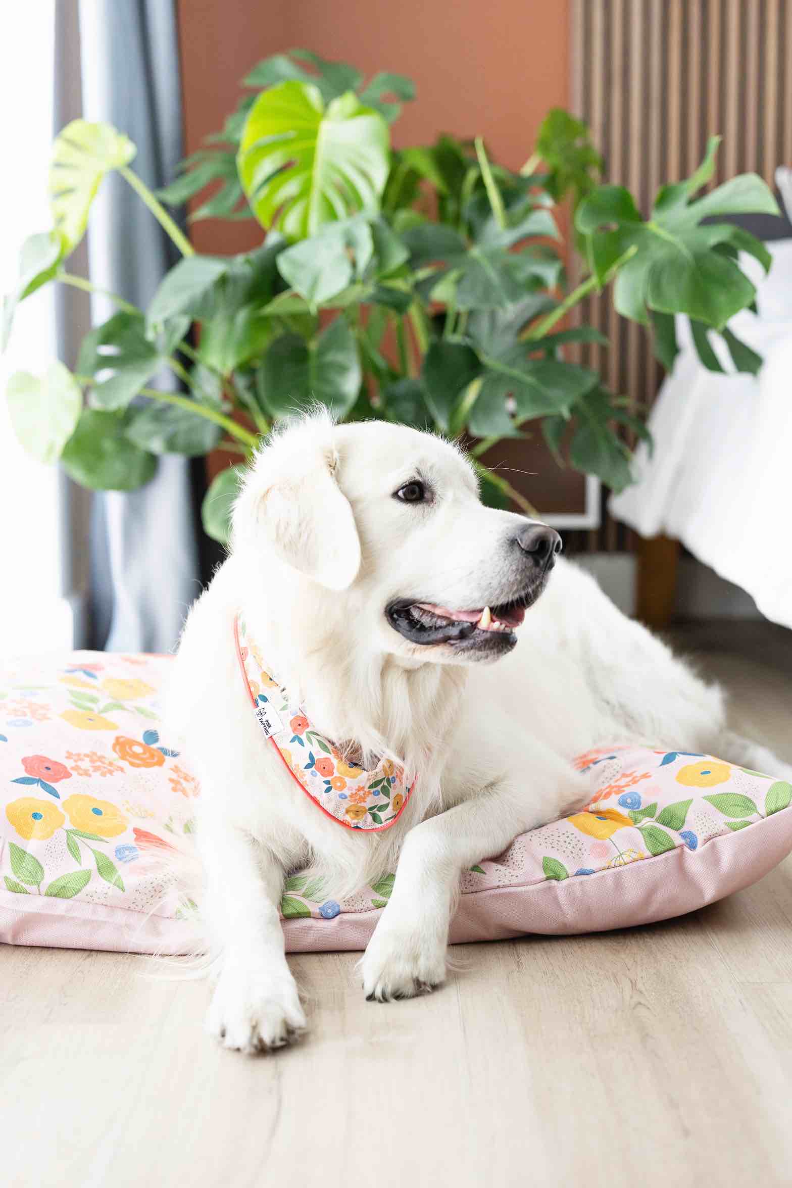 Penelope Dog Bandana | Pink Papyrus
