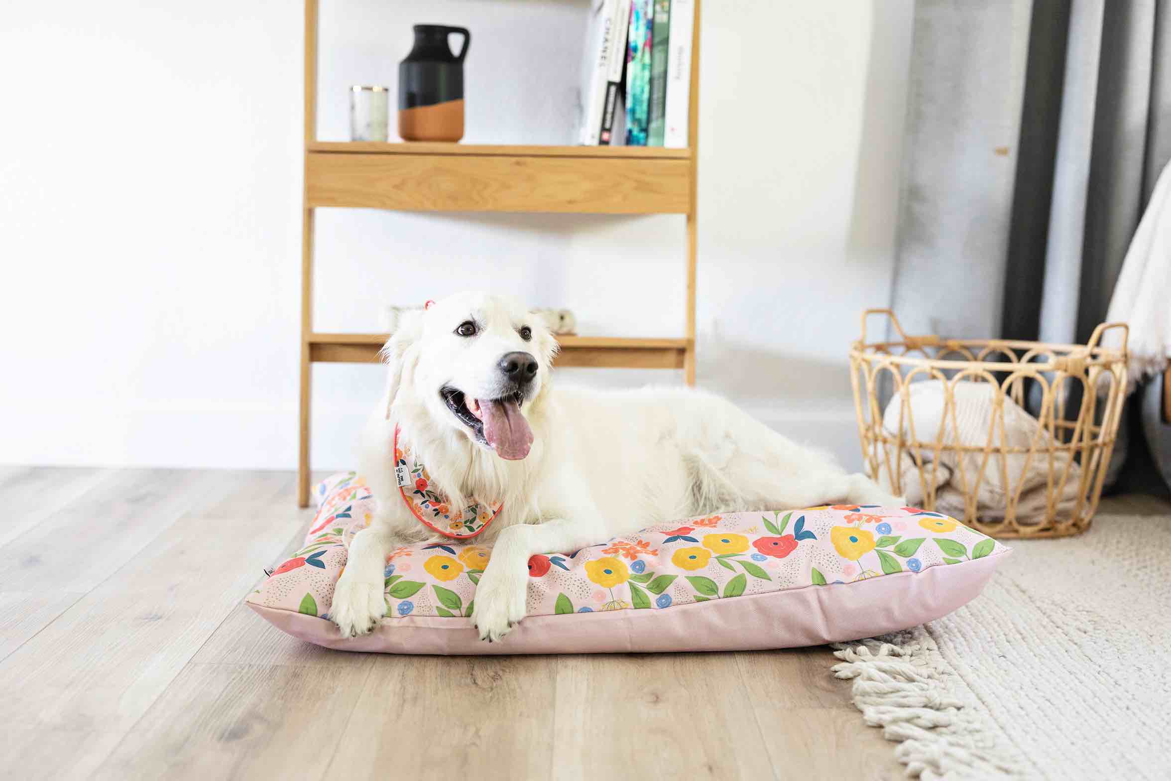 Penelope Dog Bandana | Pink Papyrus