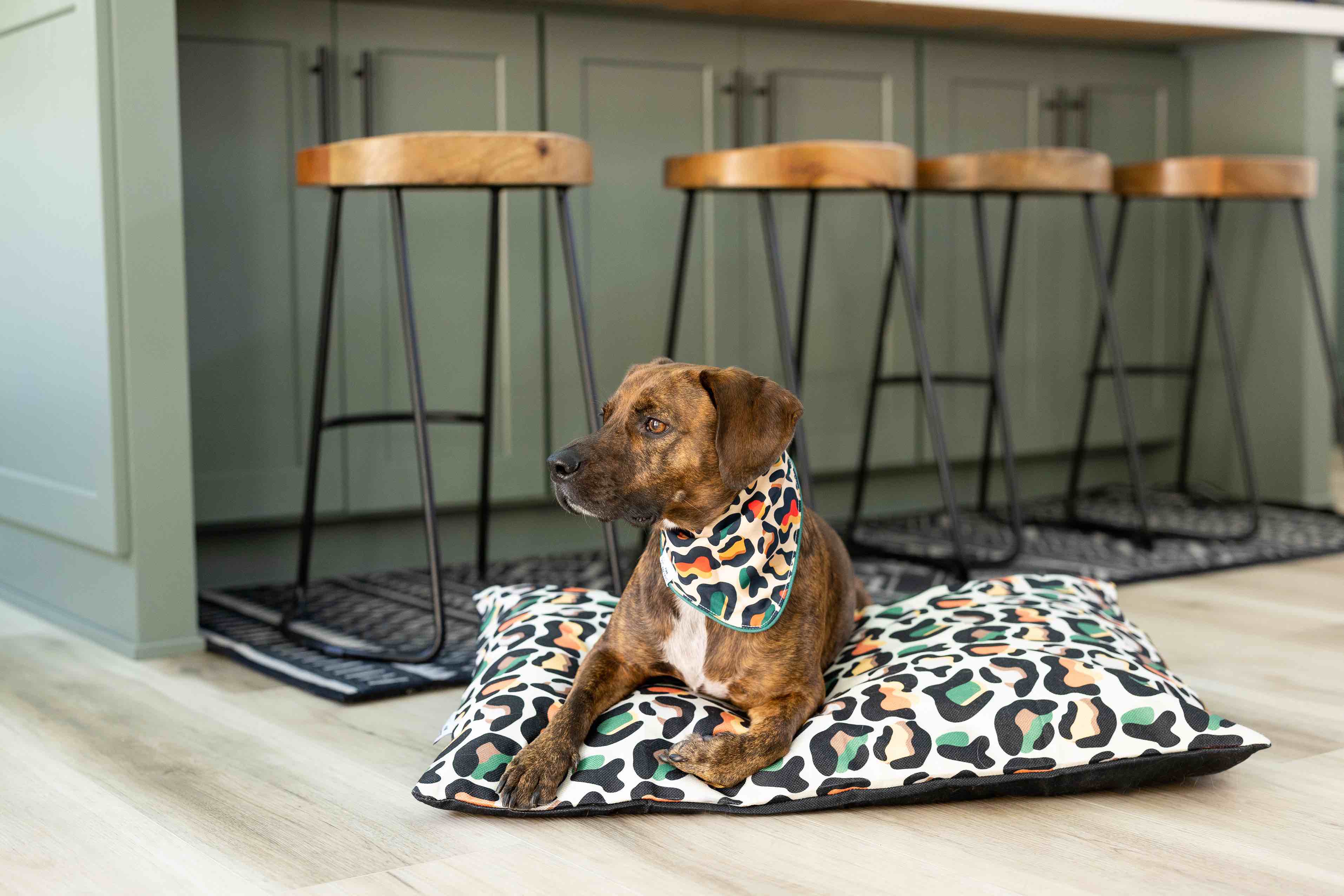 Beckett Dog Bandana | Pink Papyrus