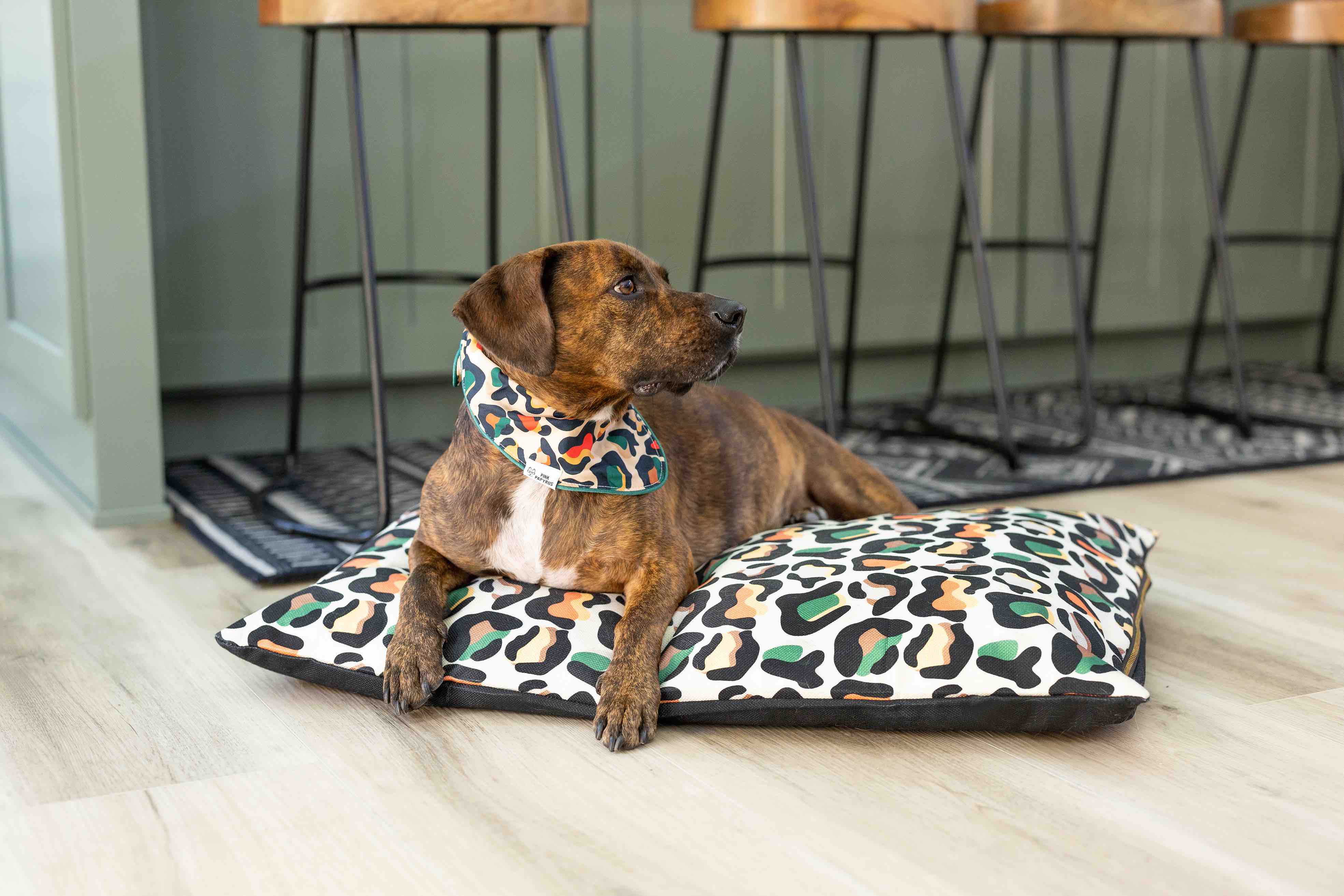 Beckett Dog Bandana | Pink Papyrus