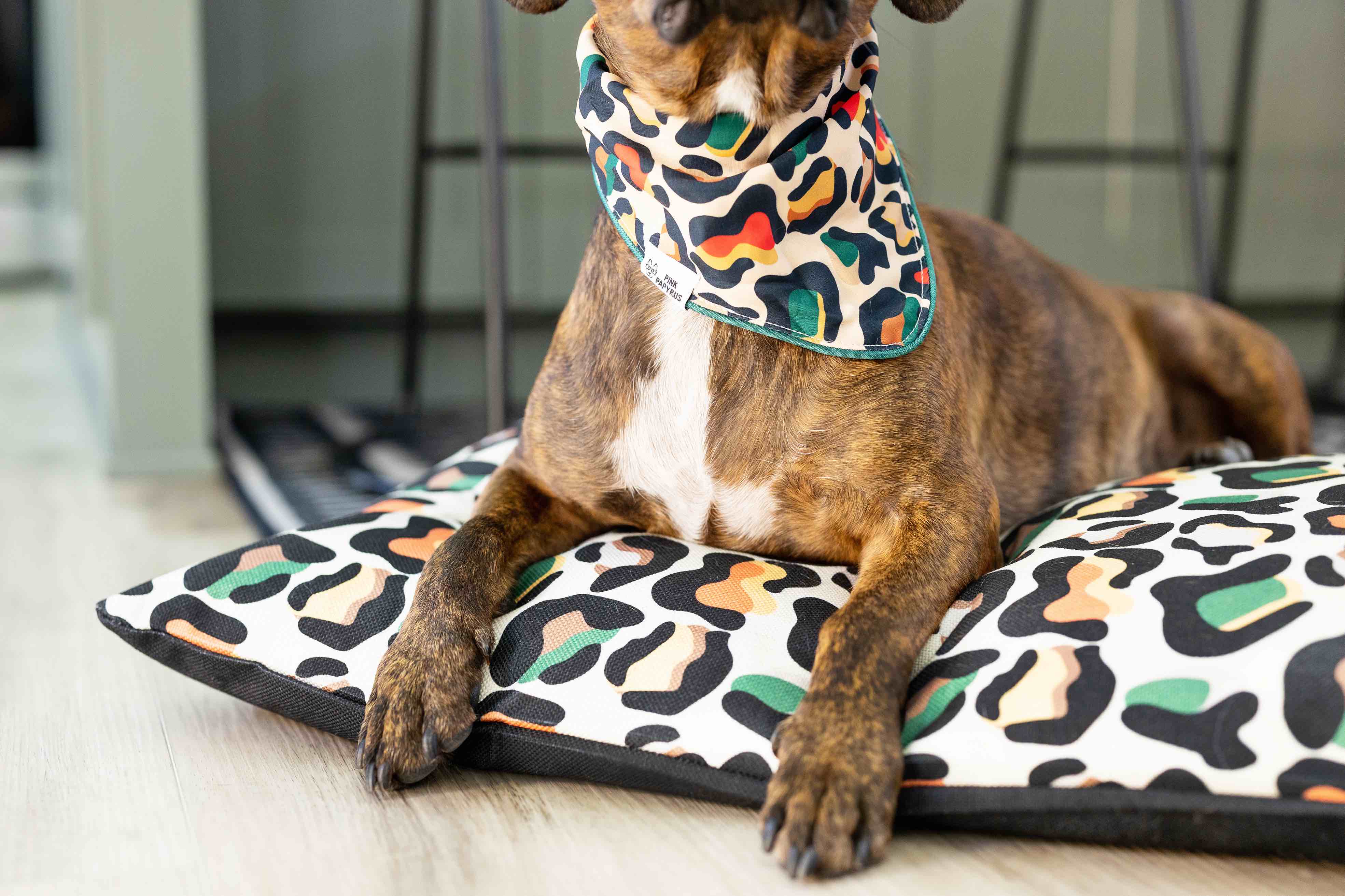 Beckett Dog Bandana | Pink Papyrus