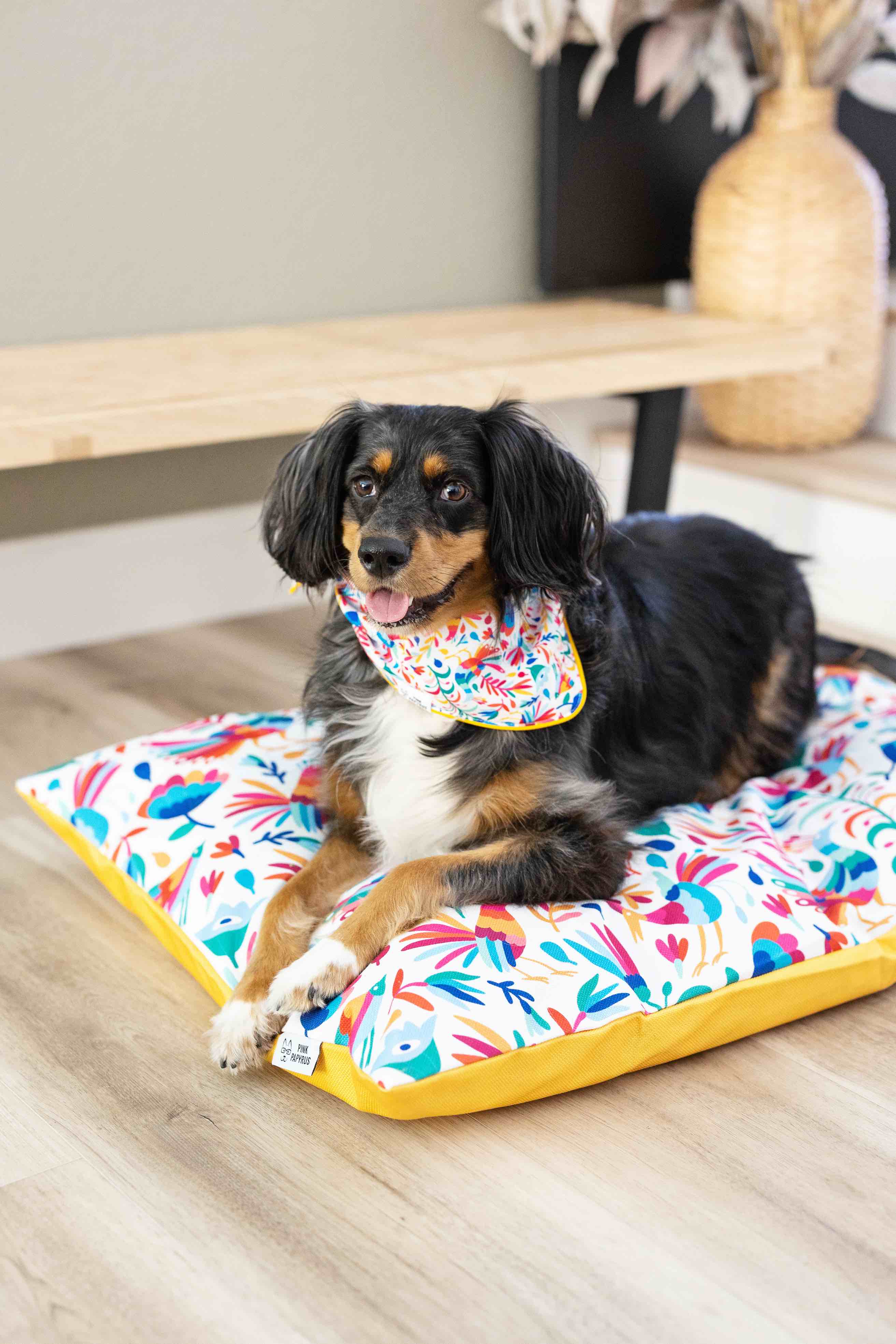 Yesenia Dog Bandana | Pink Papyrus