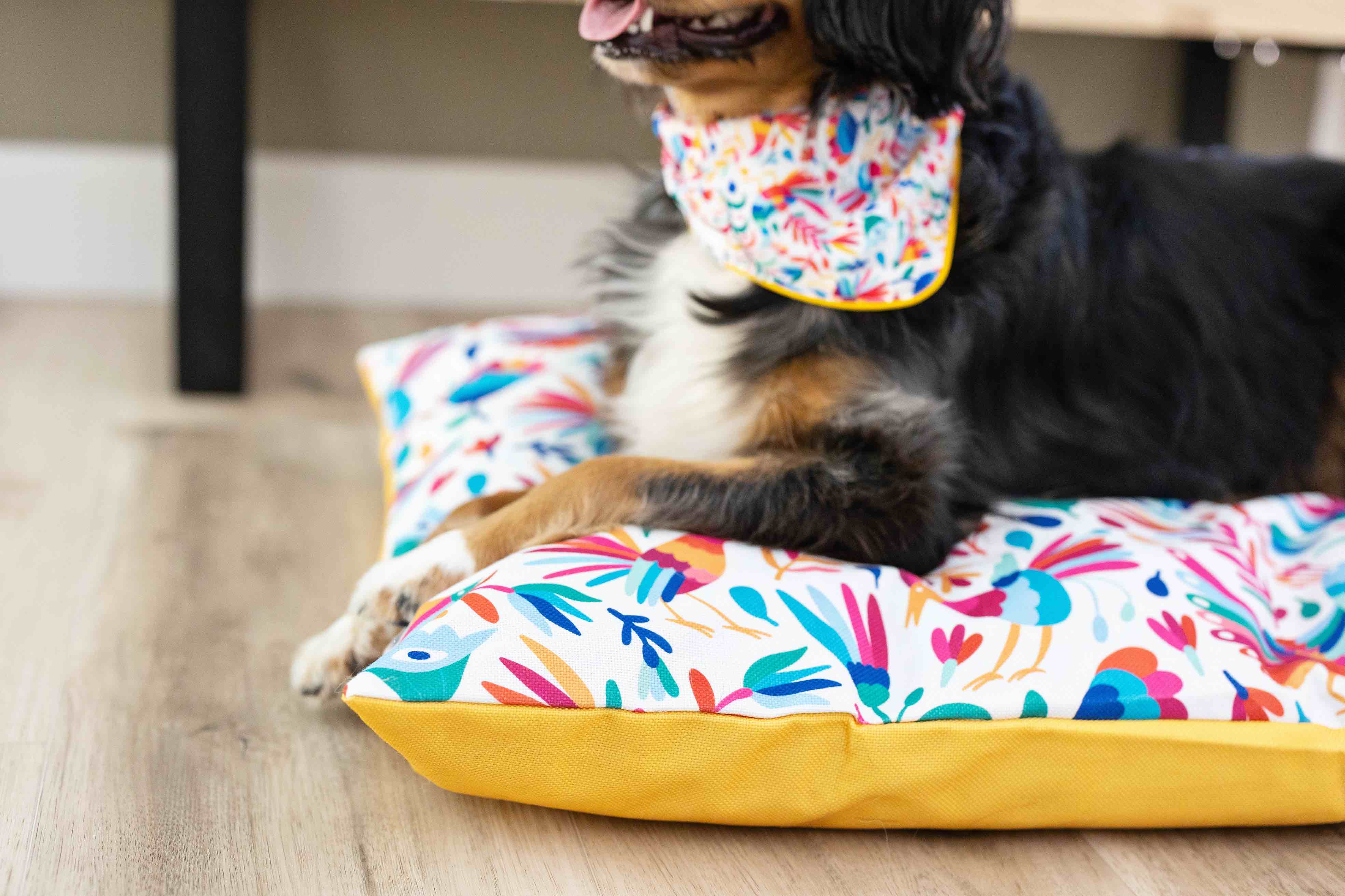Yesenia Dog Bandana | Pink Papyrus
