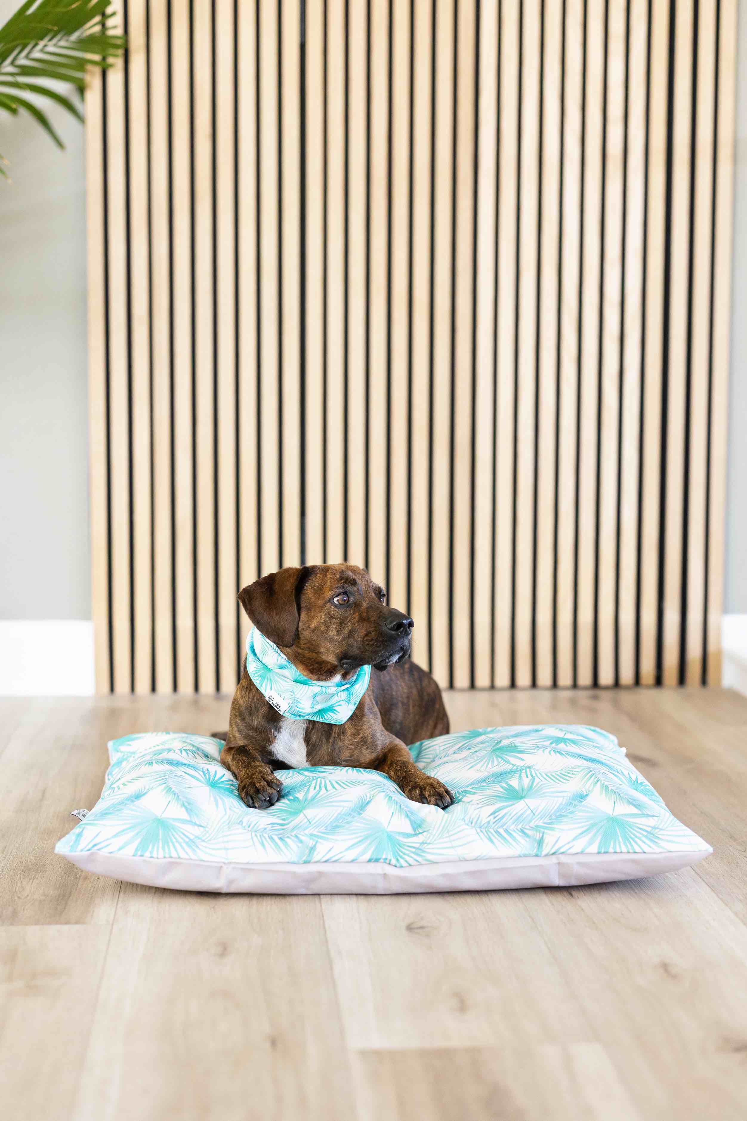 Capri Dog Bandana | Pink Papyrus