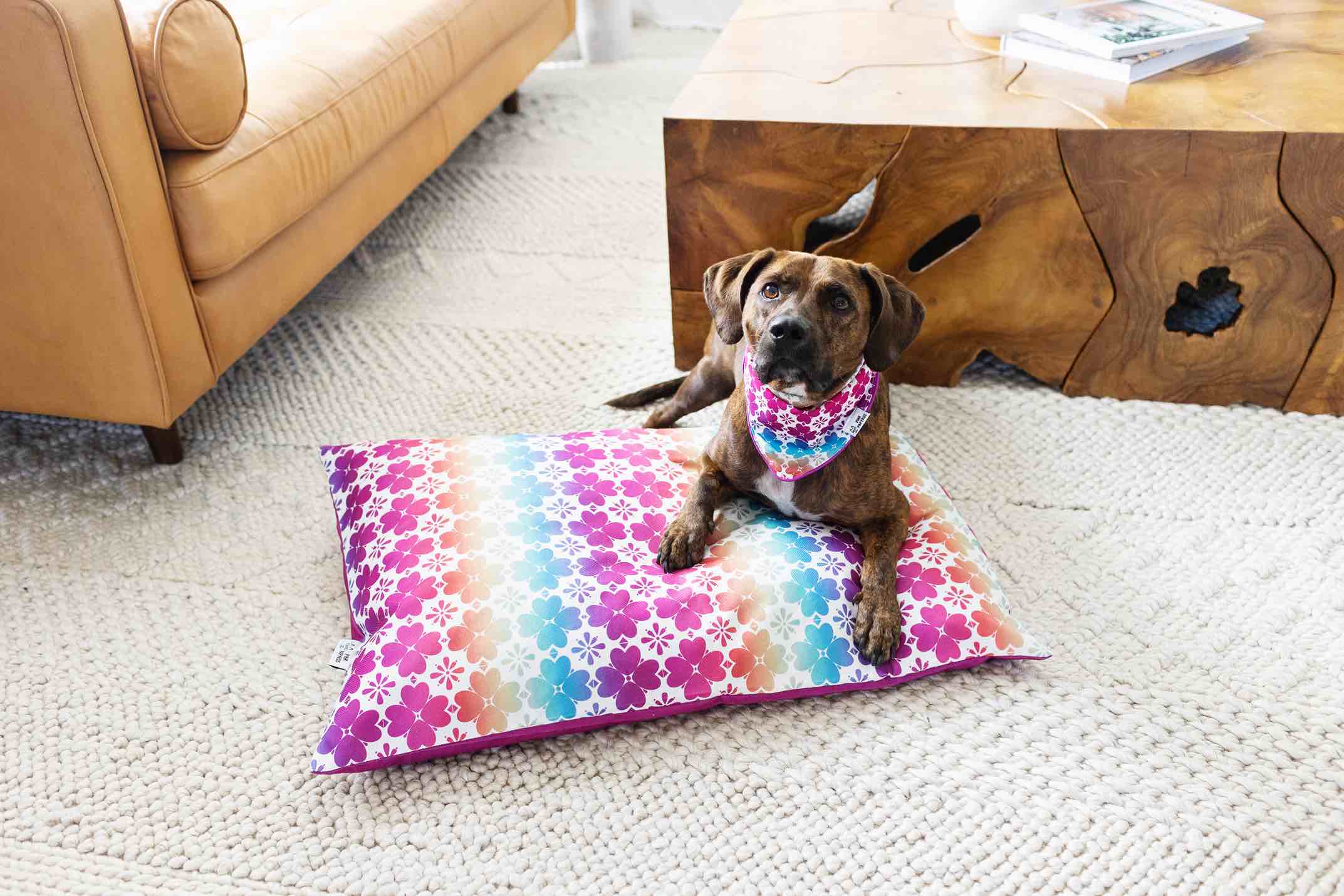 Everly Dog Bandana | Pink Papyrus