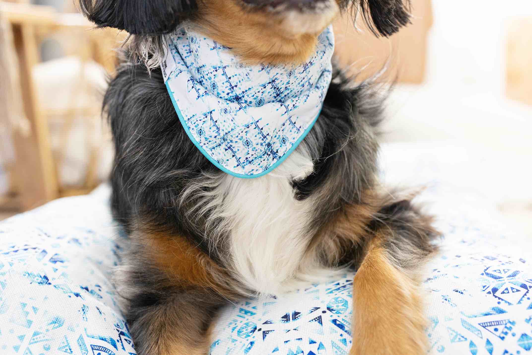 Koa Dog Bandana | Pink Papyrus