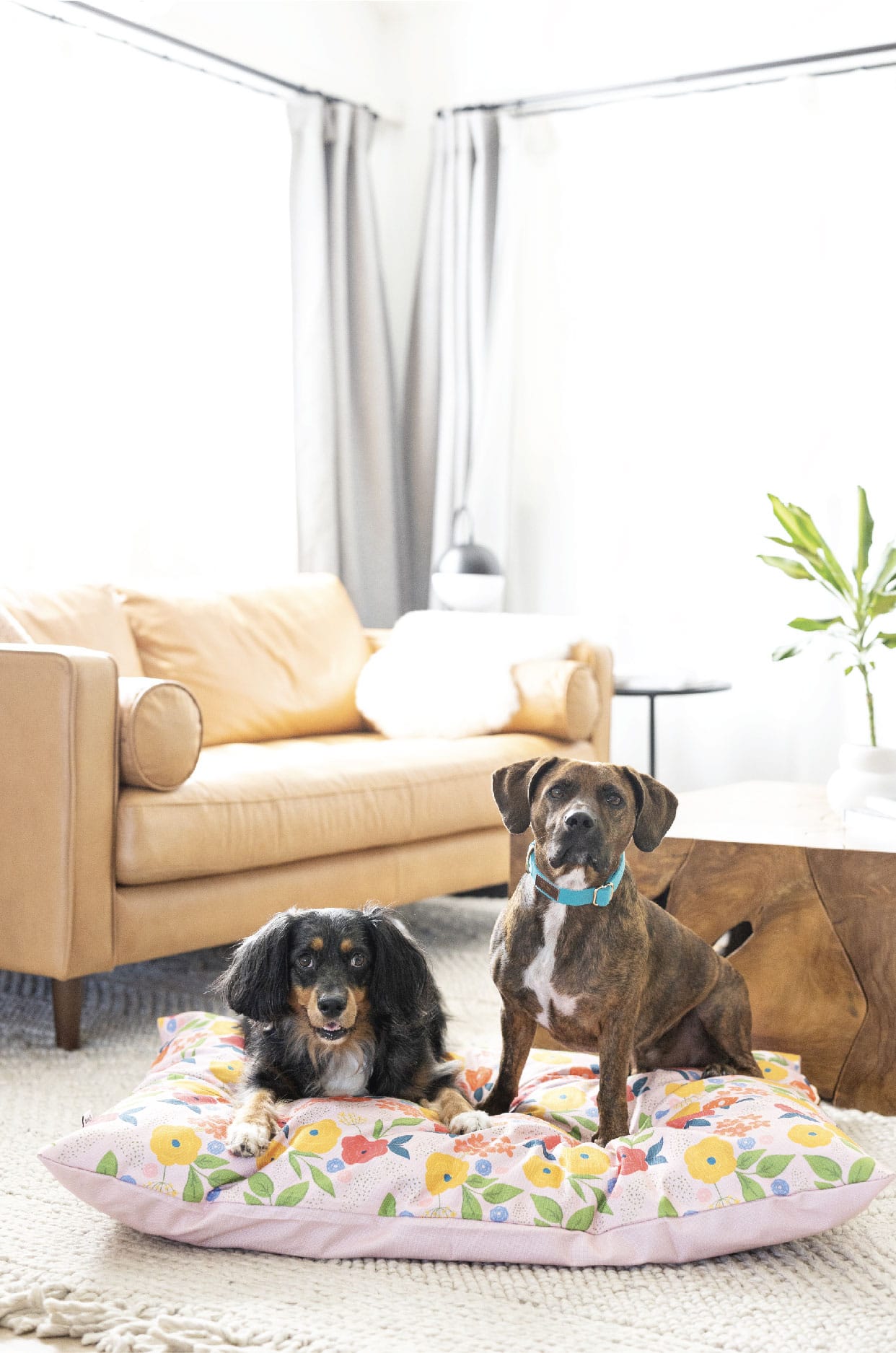 Penelope Dog Bed | Pink Papyrus