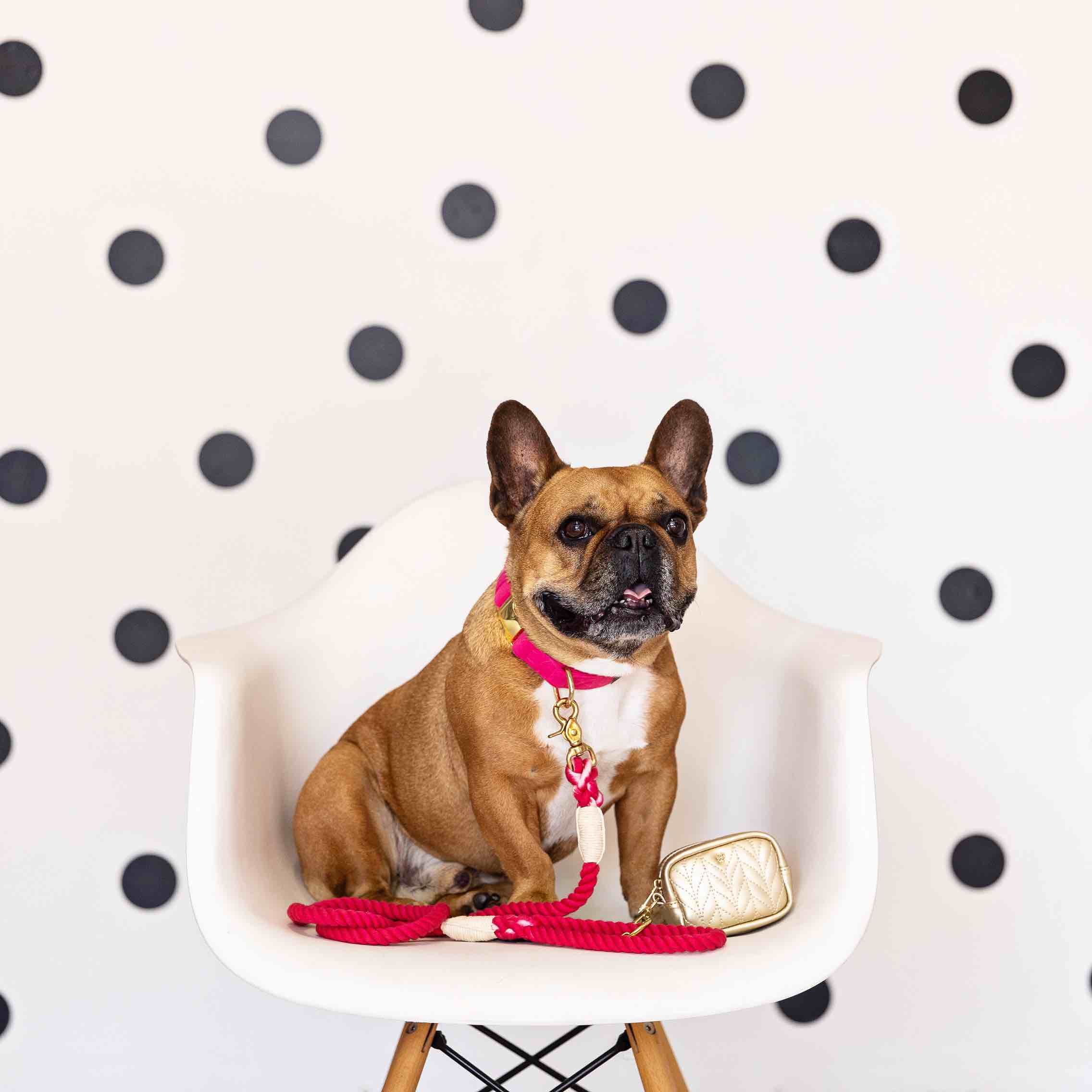 Karla Rope Dog Leash | Pink Papyrus