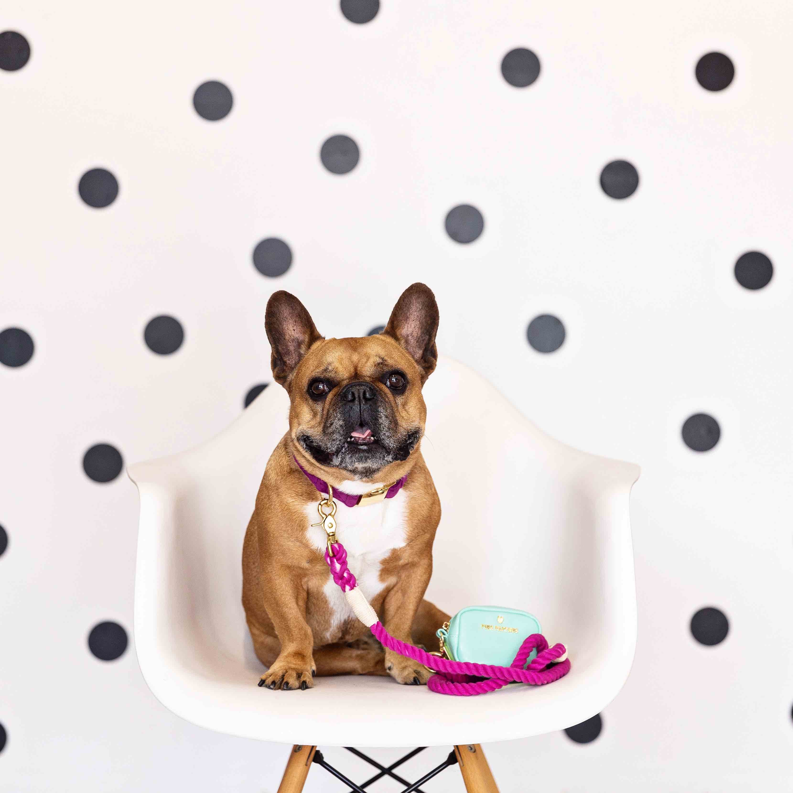 Leilani Waste Bag Holder & Treat Pouch