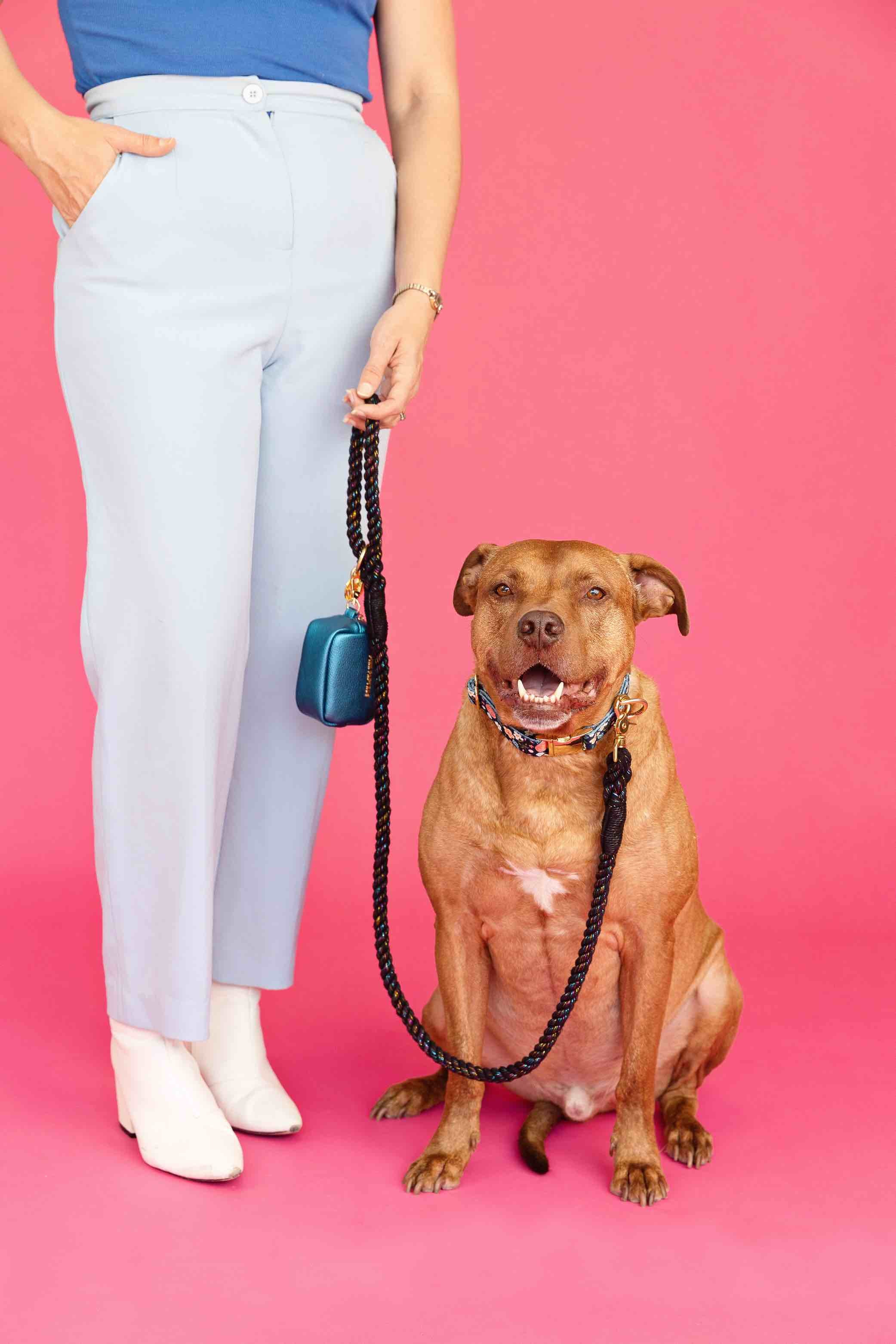 Stella Rope Dog Leash