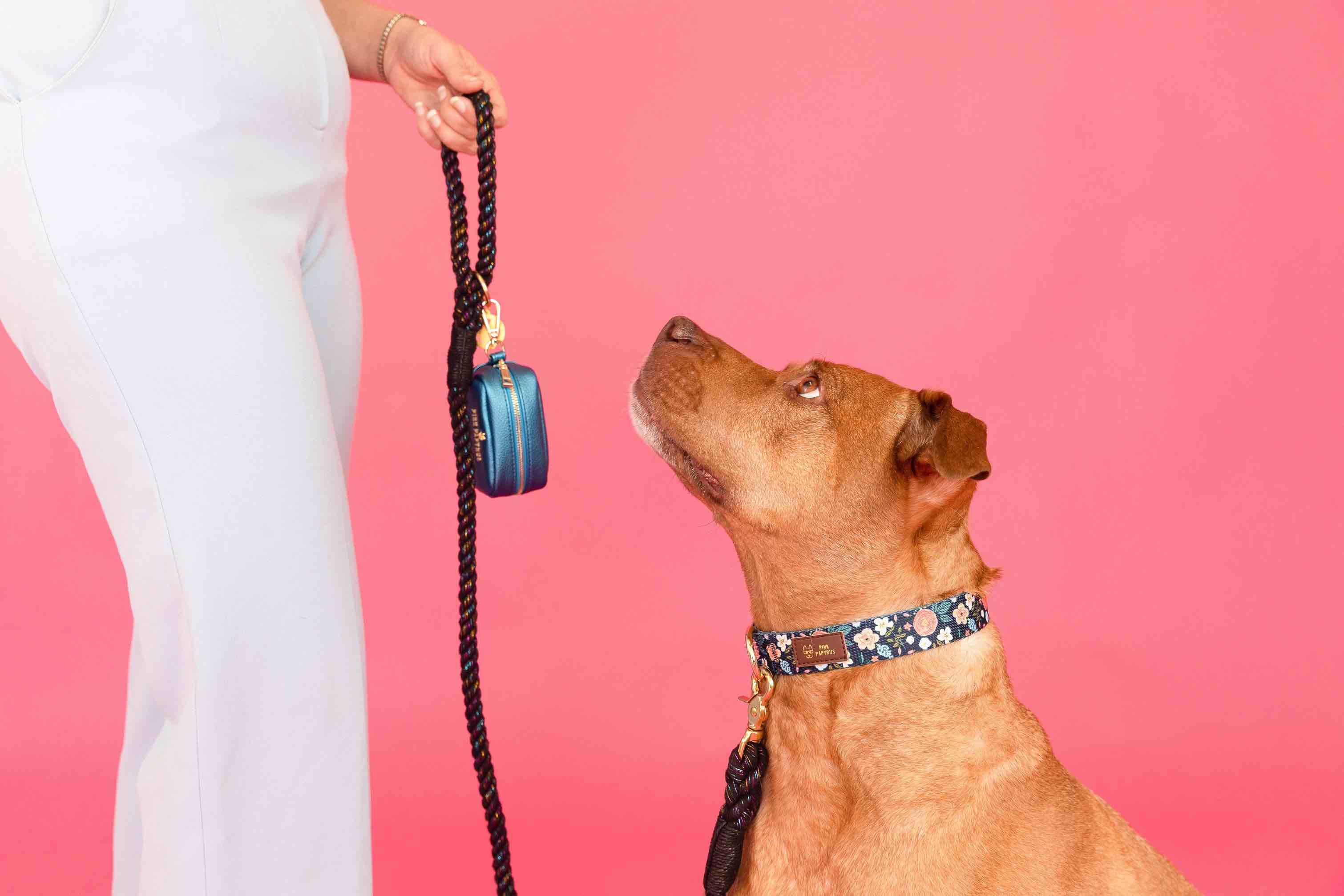 Riley Dog Collar | Pink Papyrus