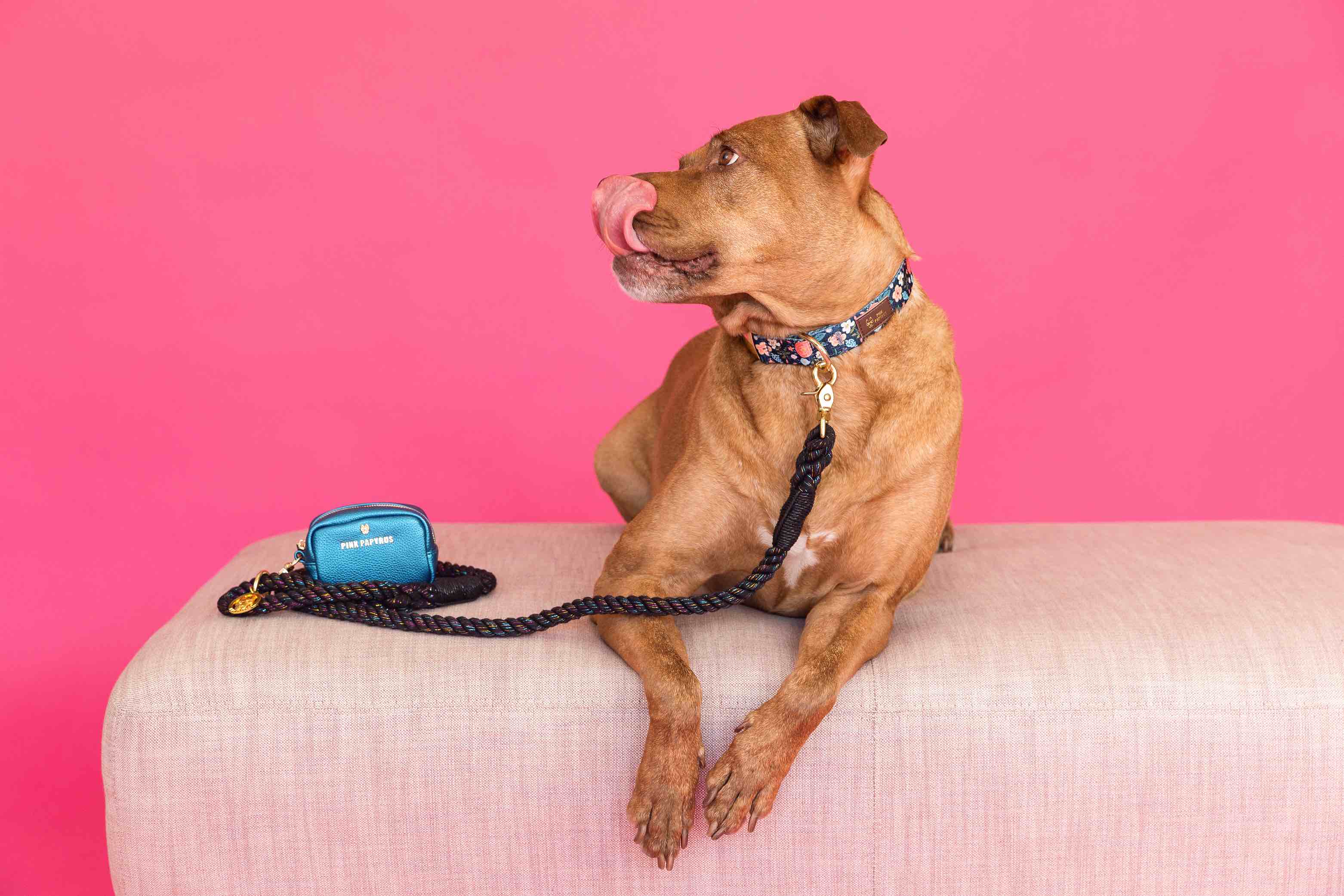 Stella Rope Dog Leash