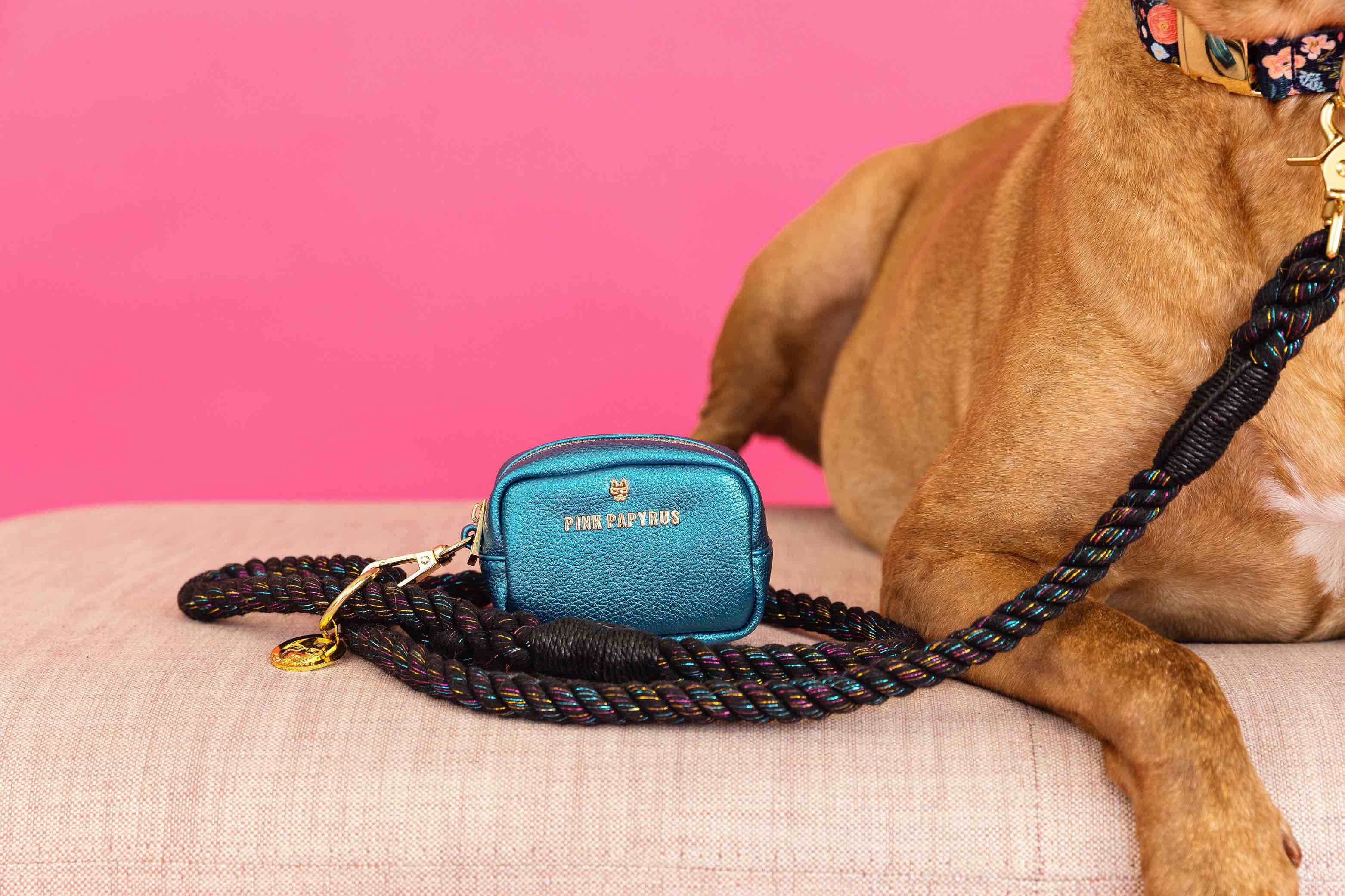 Hudson Waste Bag Holder & Treat Pouch