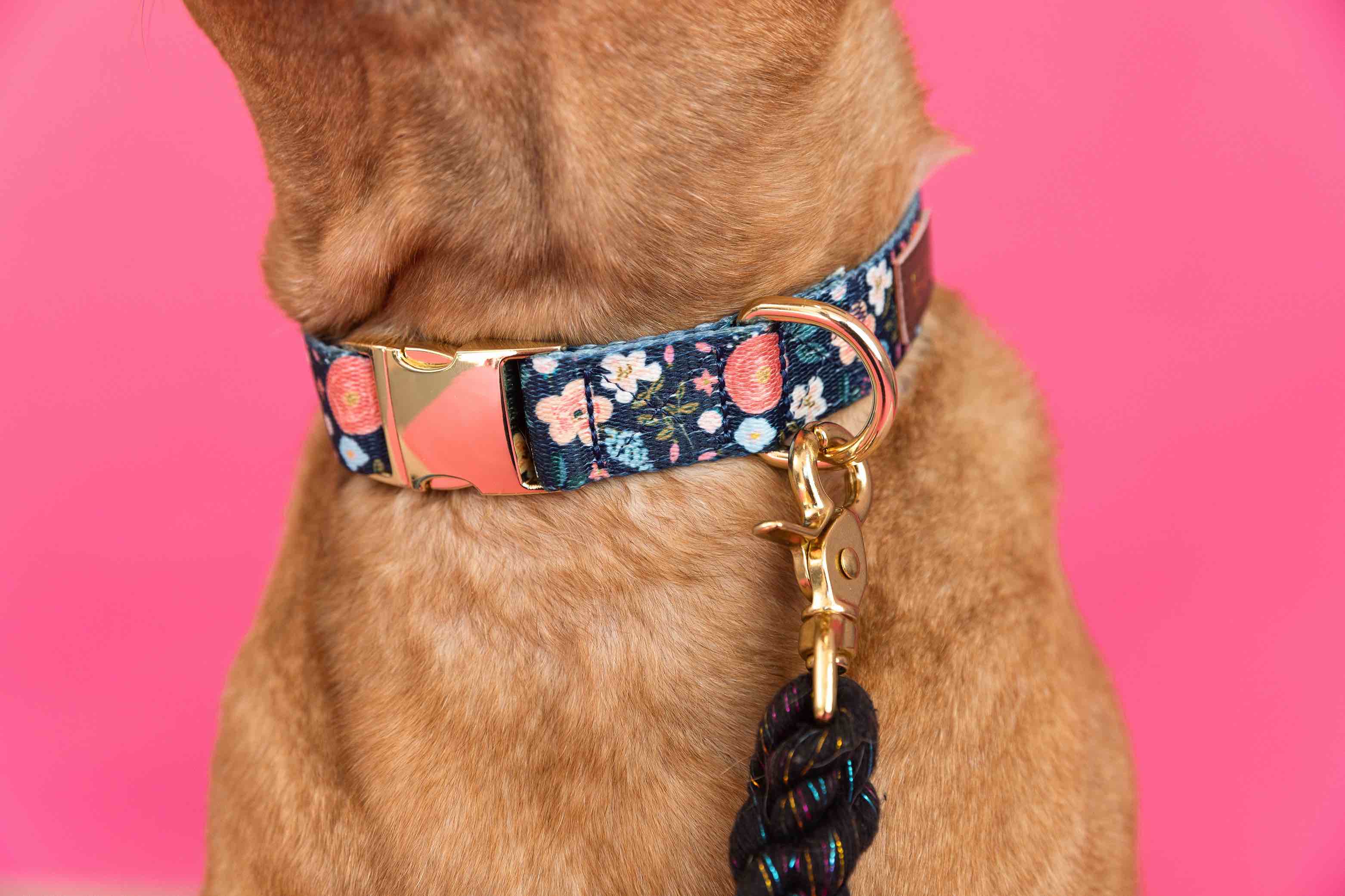 Riley Dog Collar | Pink Papyrus