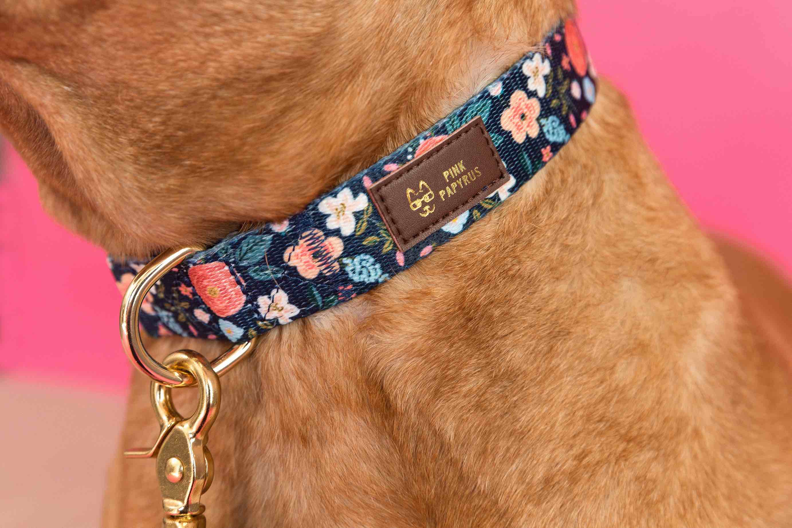 Riley Dog Collar | Pink Papyrus