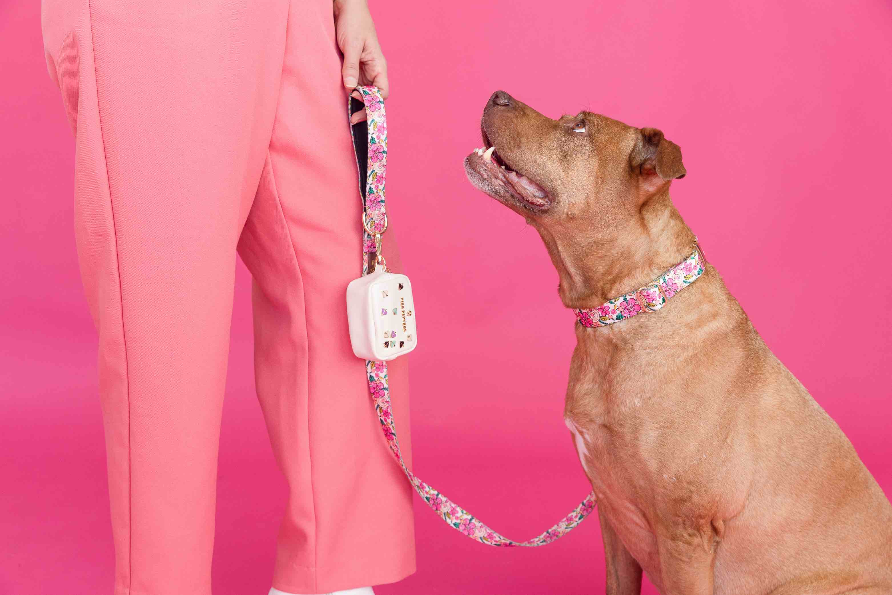 Gianna Dog Leash | Pink Papyrus