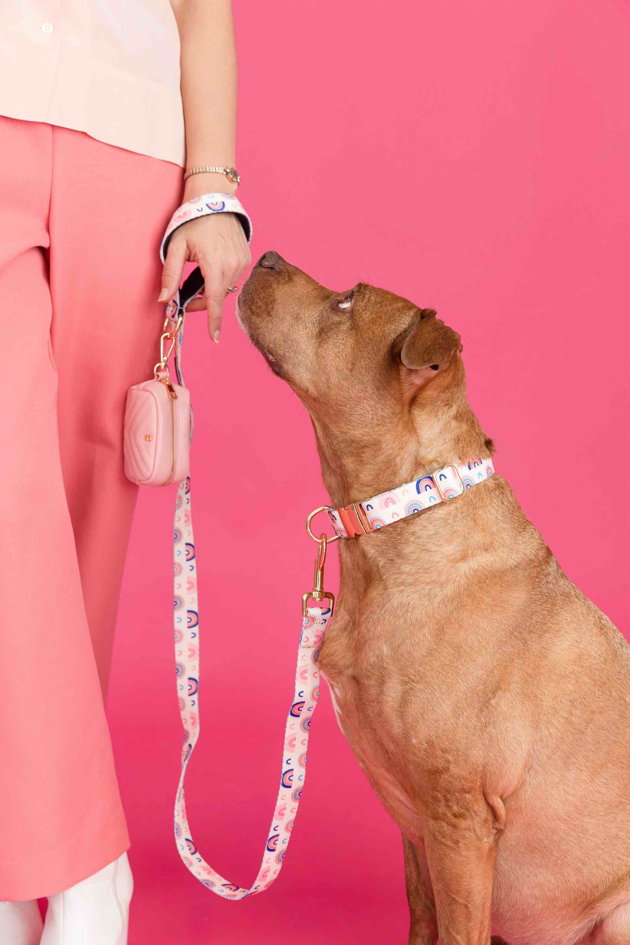 Clarke Dog Collar | Pink Papyrus