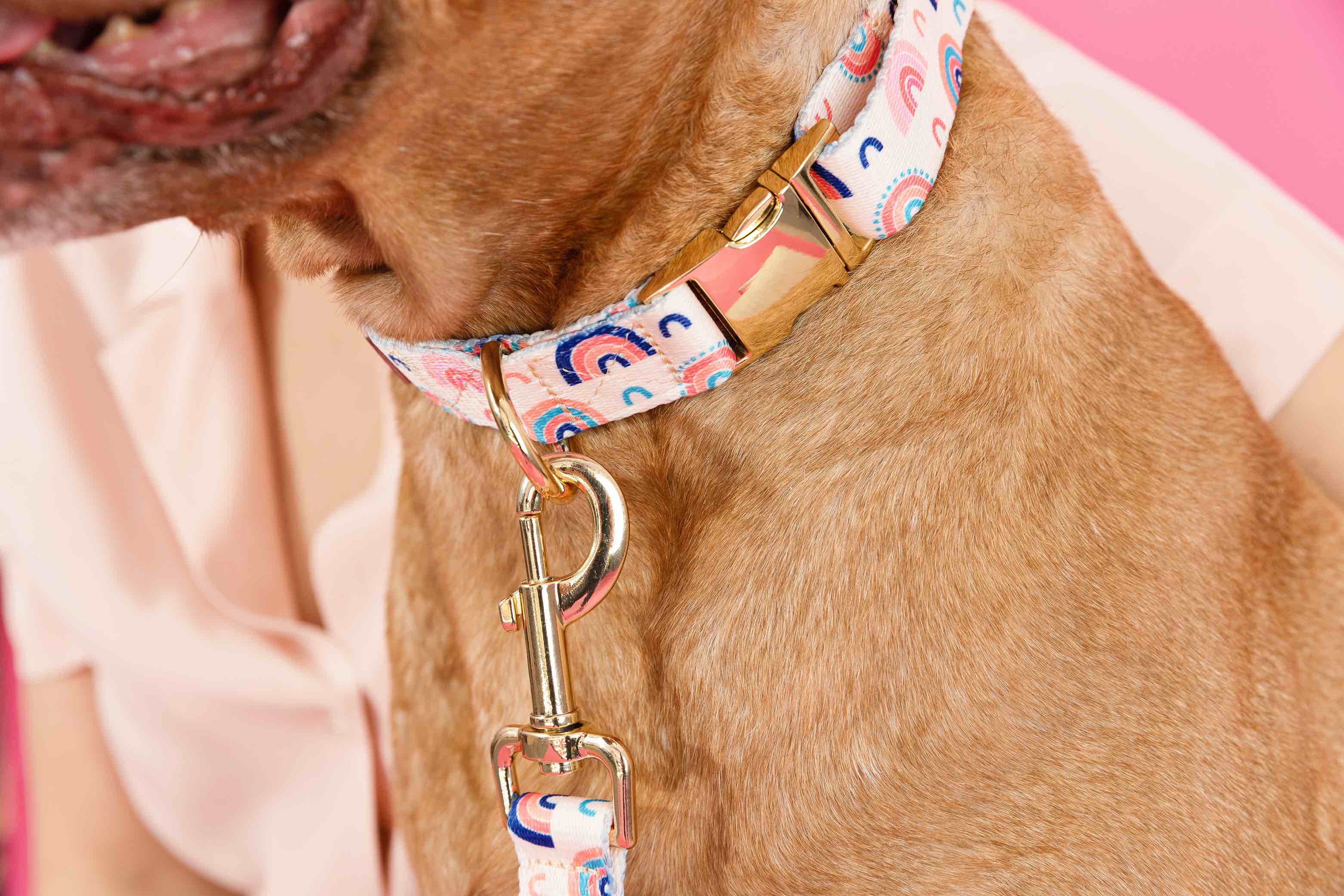 Clarke Dog Collar | Pink Papyrus