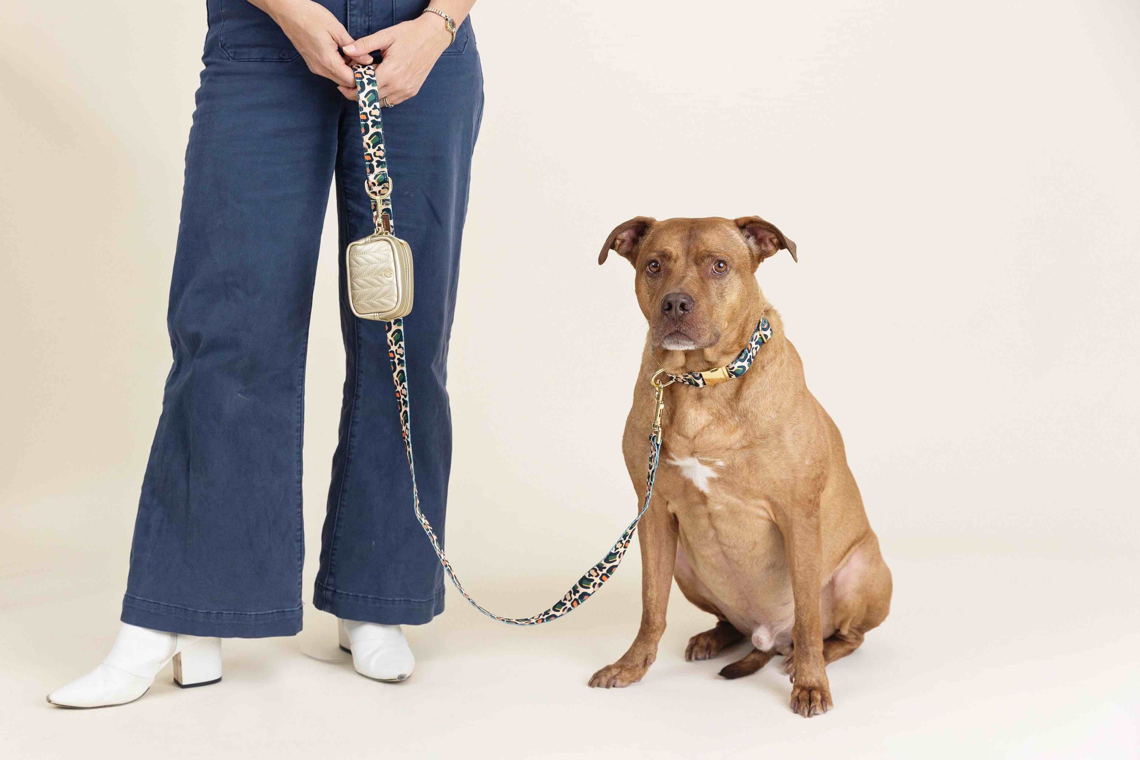 Beckett Dog Leash | Pink Papyrus