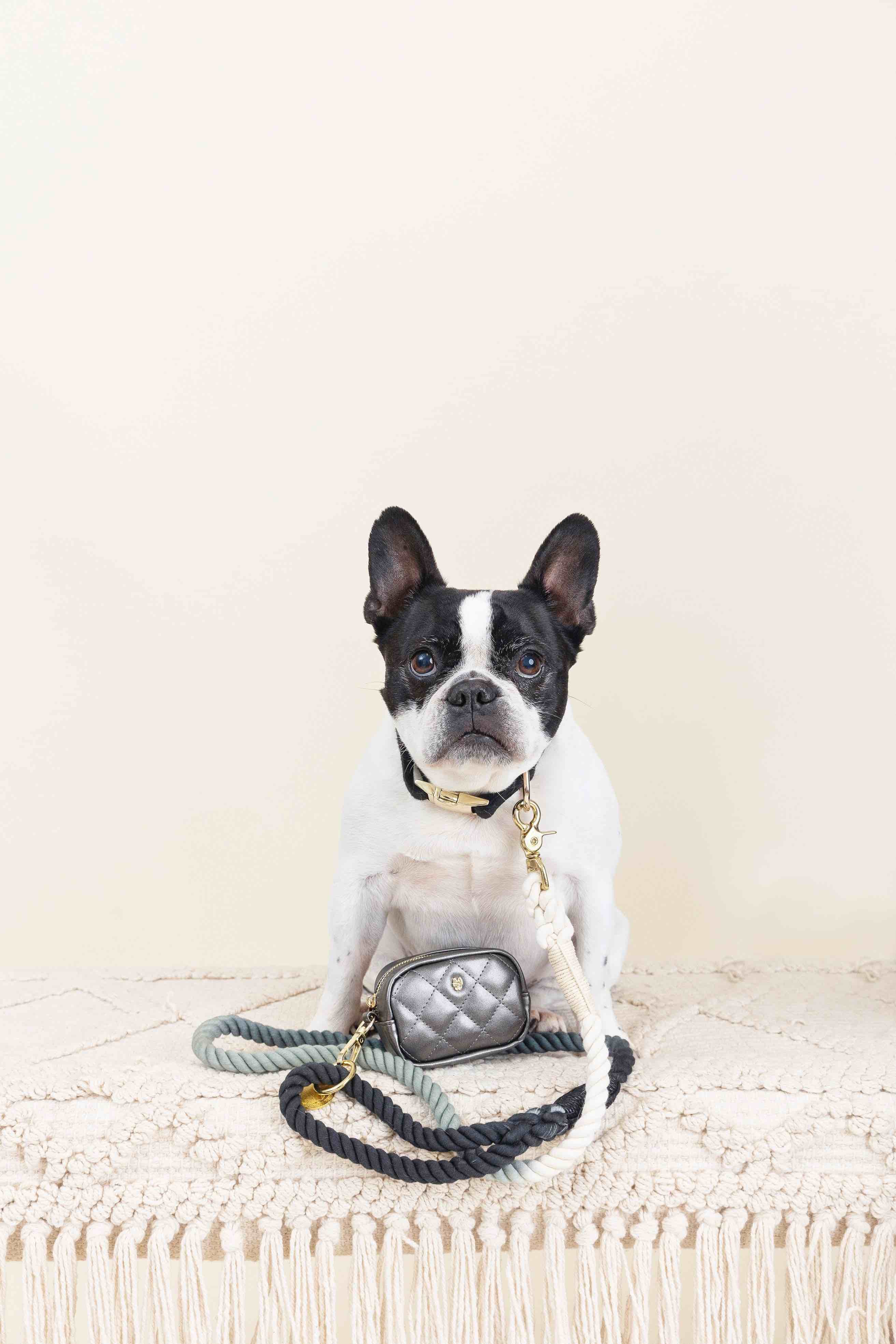 Cairo Rope Dog Leash | Pink Papyrus