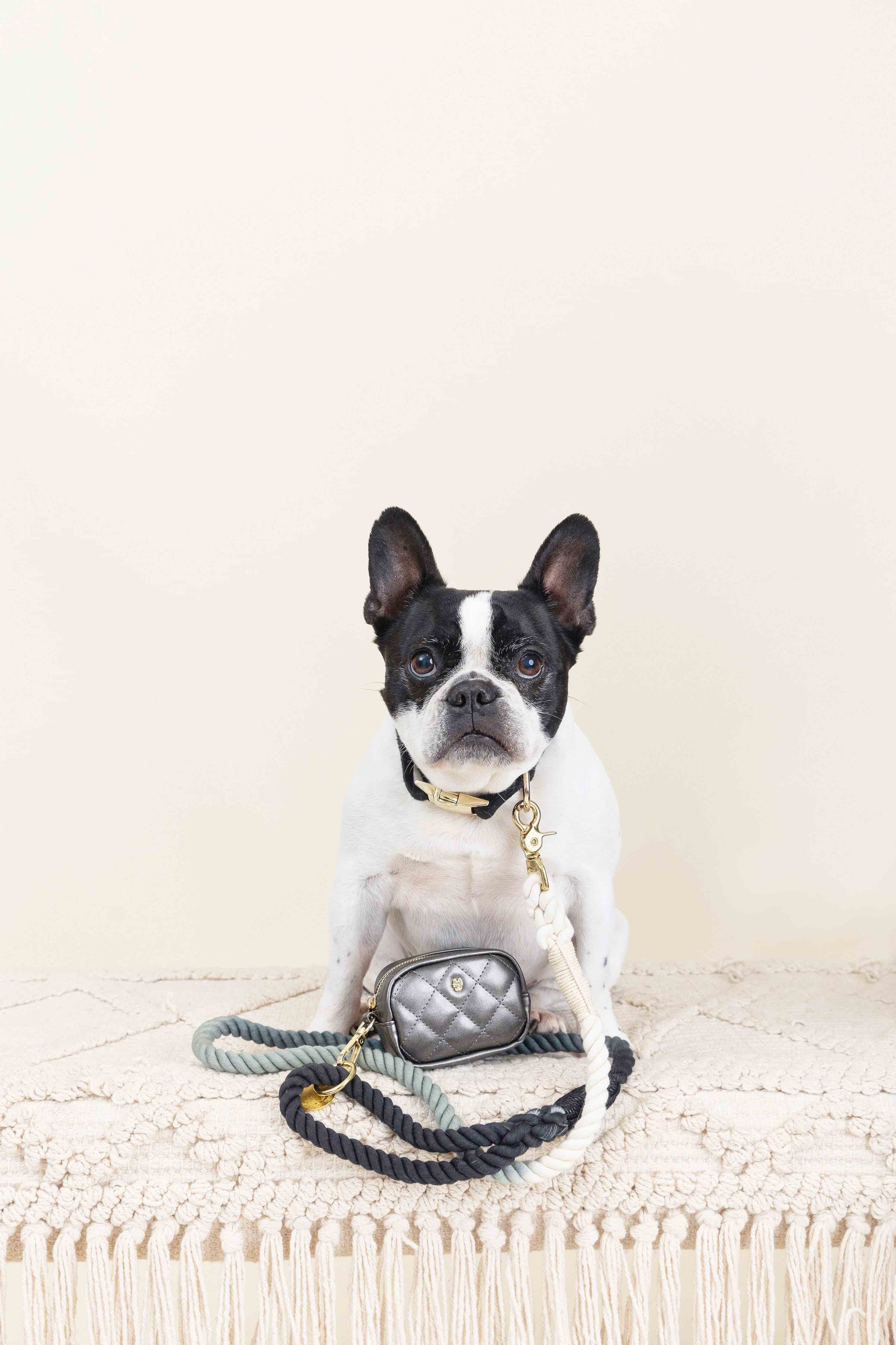 Melissa Waste Bag Holder & Treat Pouch