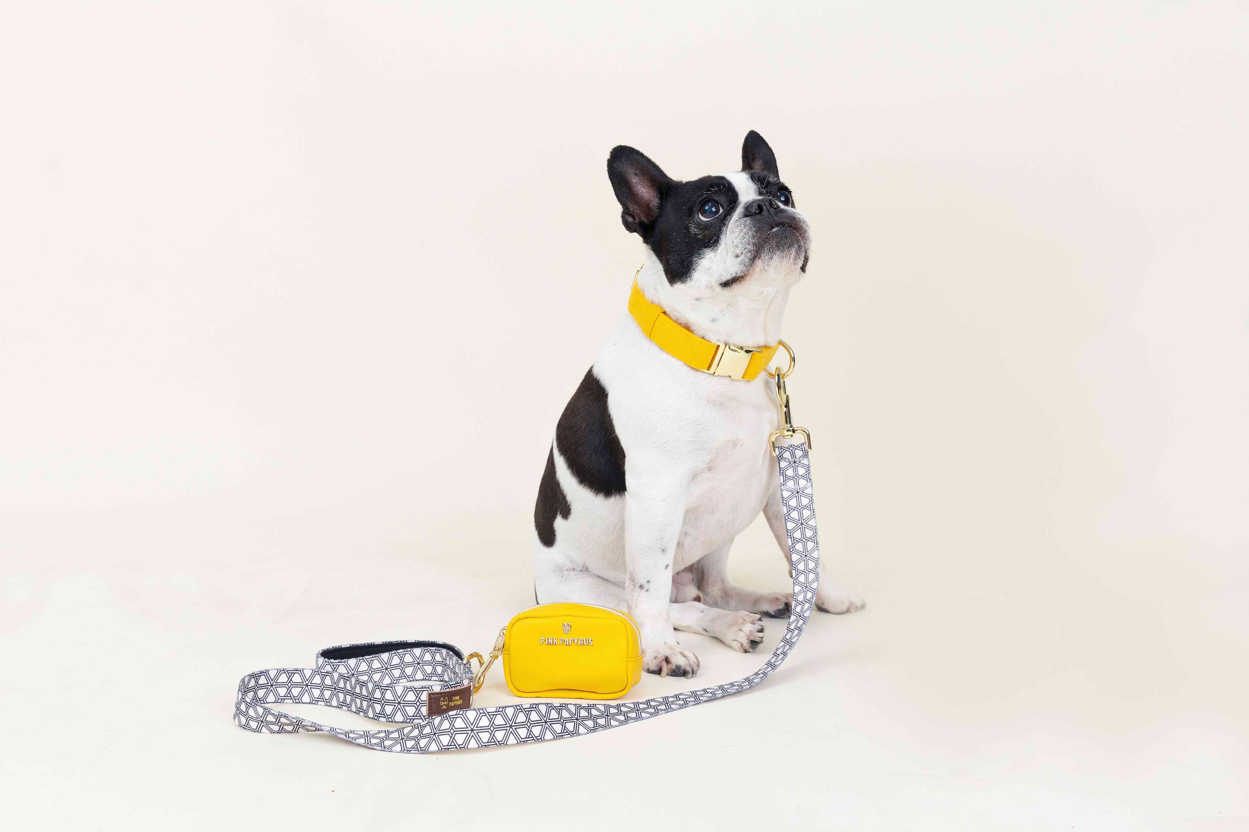 Avery Dog Leash | Pink Papyrus