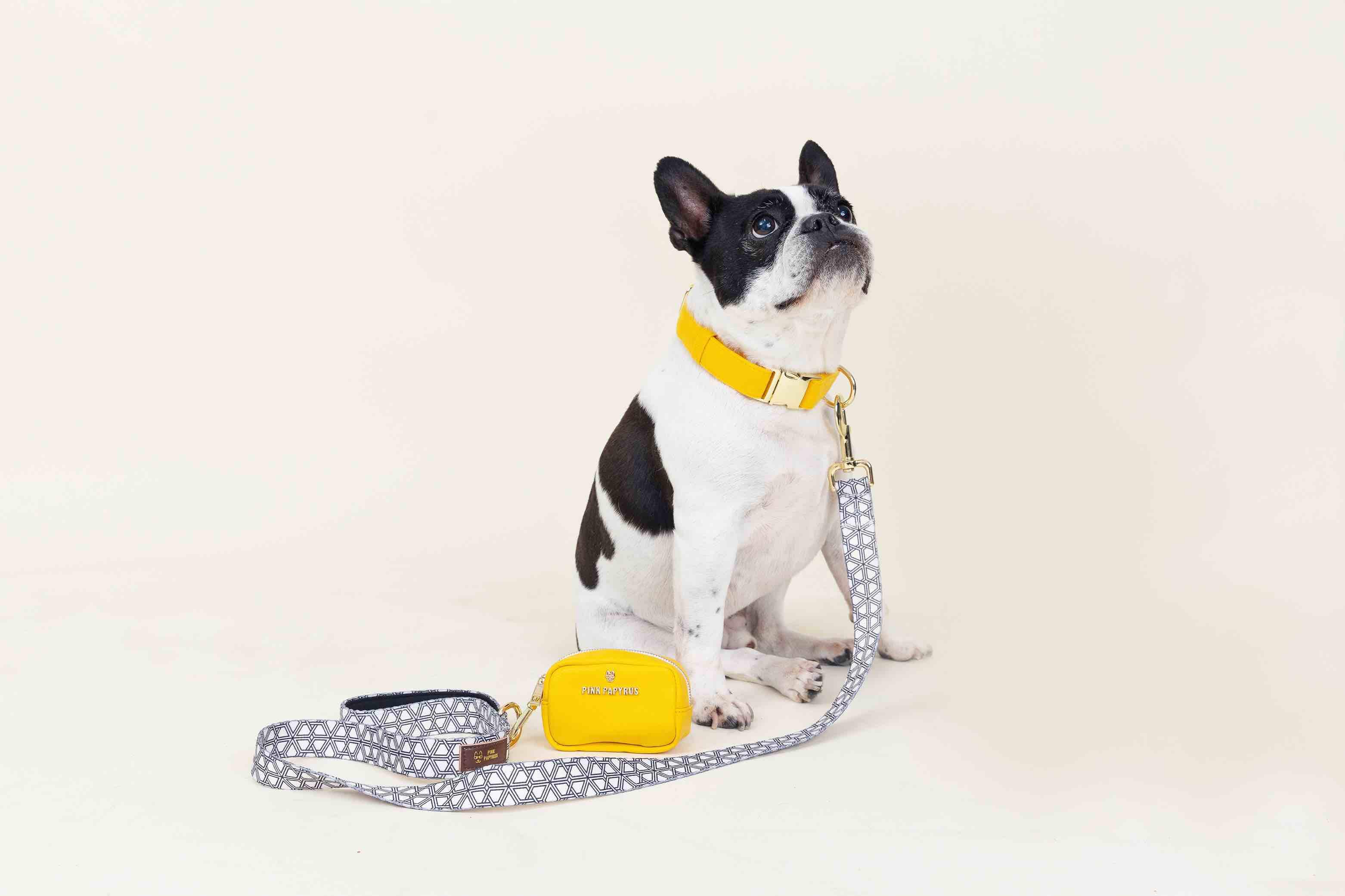 Nova Dog Collar | Pink Papyrus