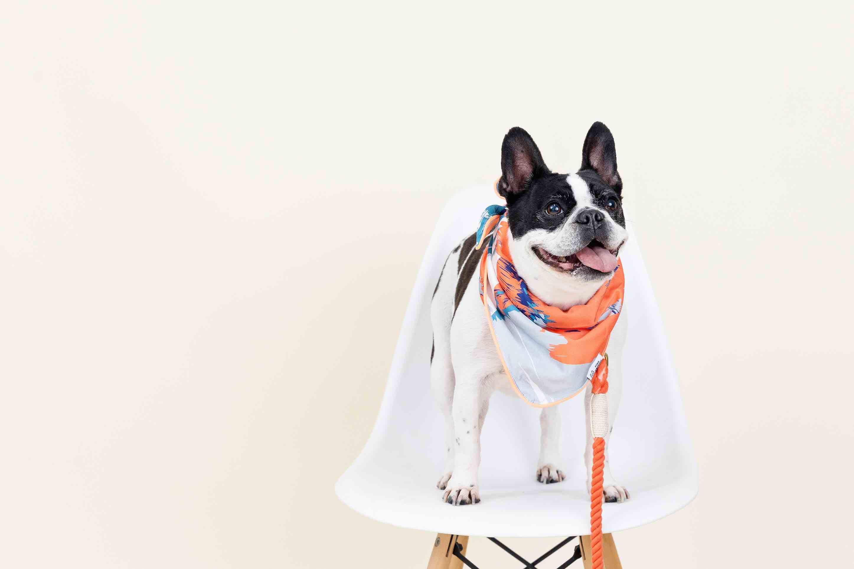 Reese Dog Bandana | Pink Papyrus