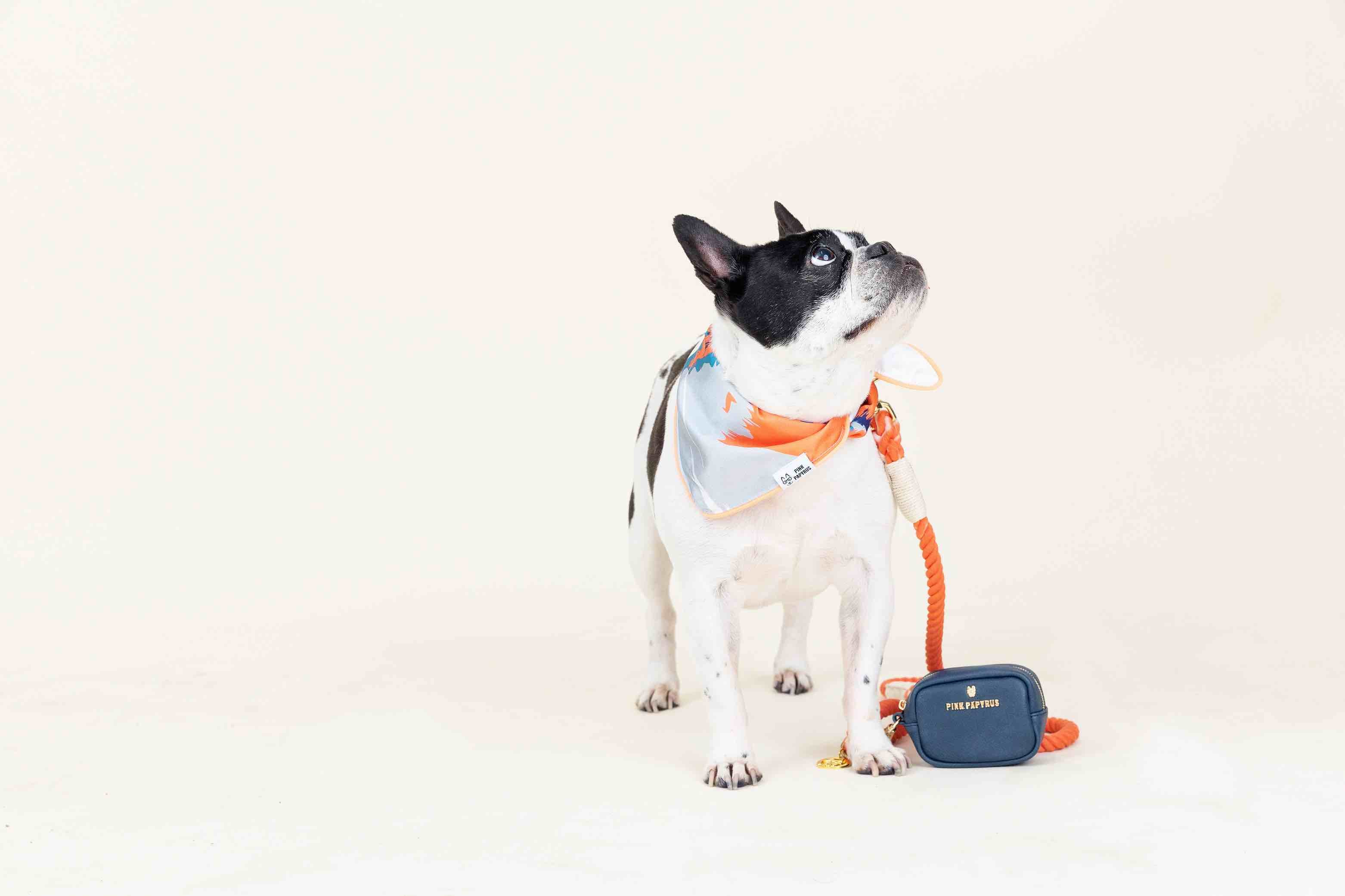 Reagan Waste Bag Holder & Treat Pouch