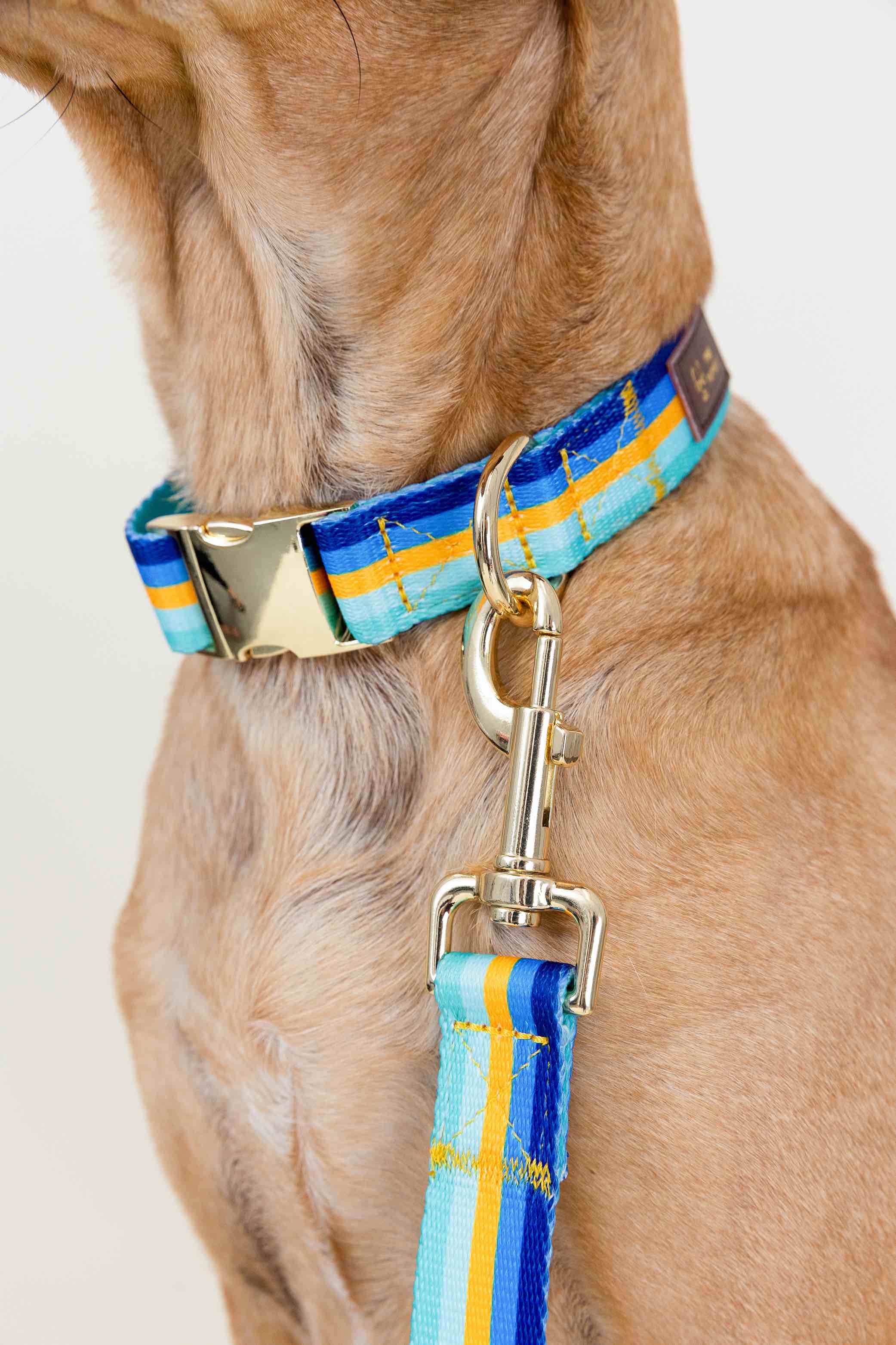 Milo Dog Collar | Pink Papyrus