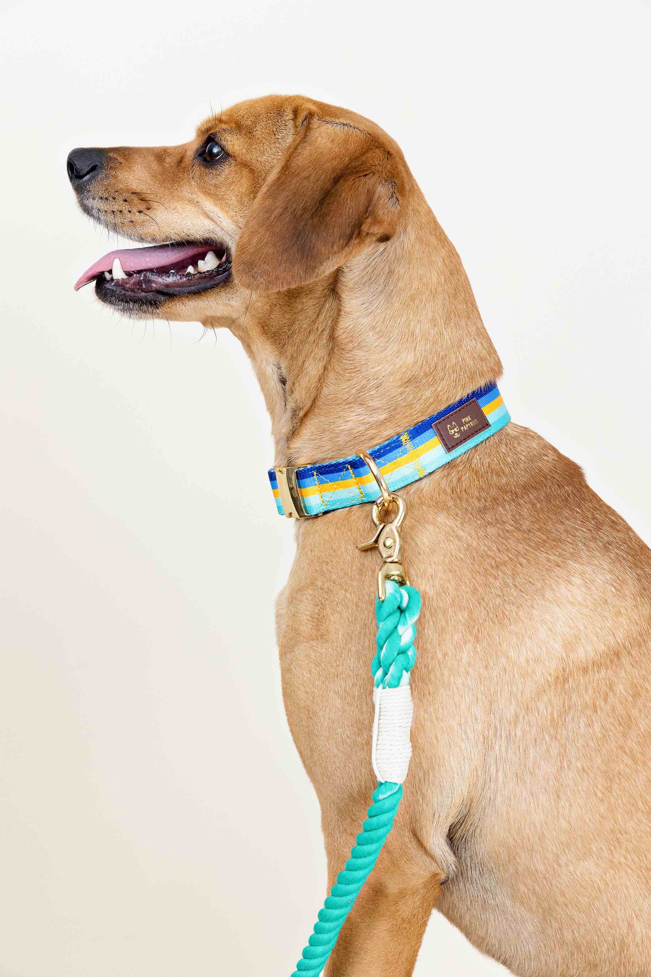 Ariel Rope Dog Leash | Pink Papyrus