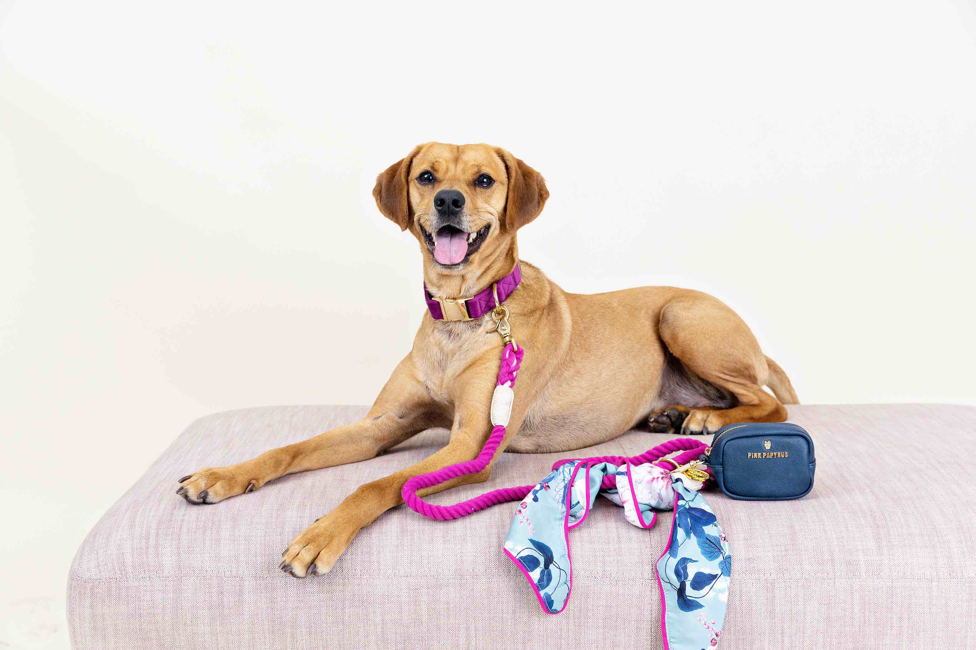 Eden Dog Bandana | Pink Papyrus