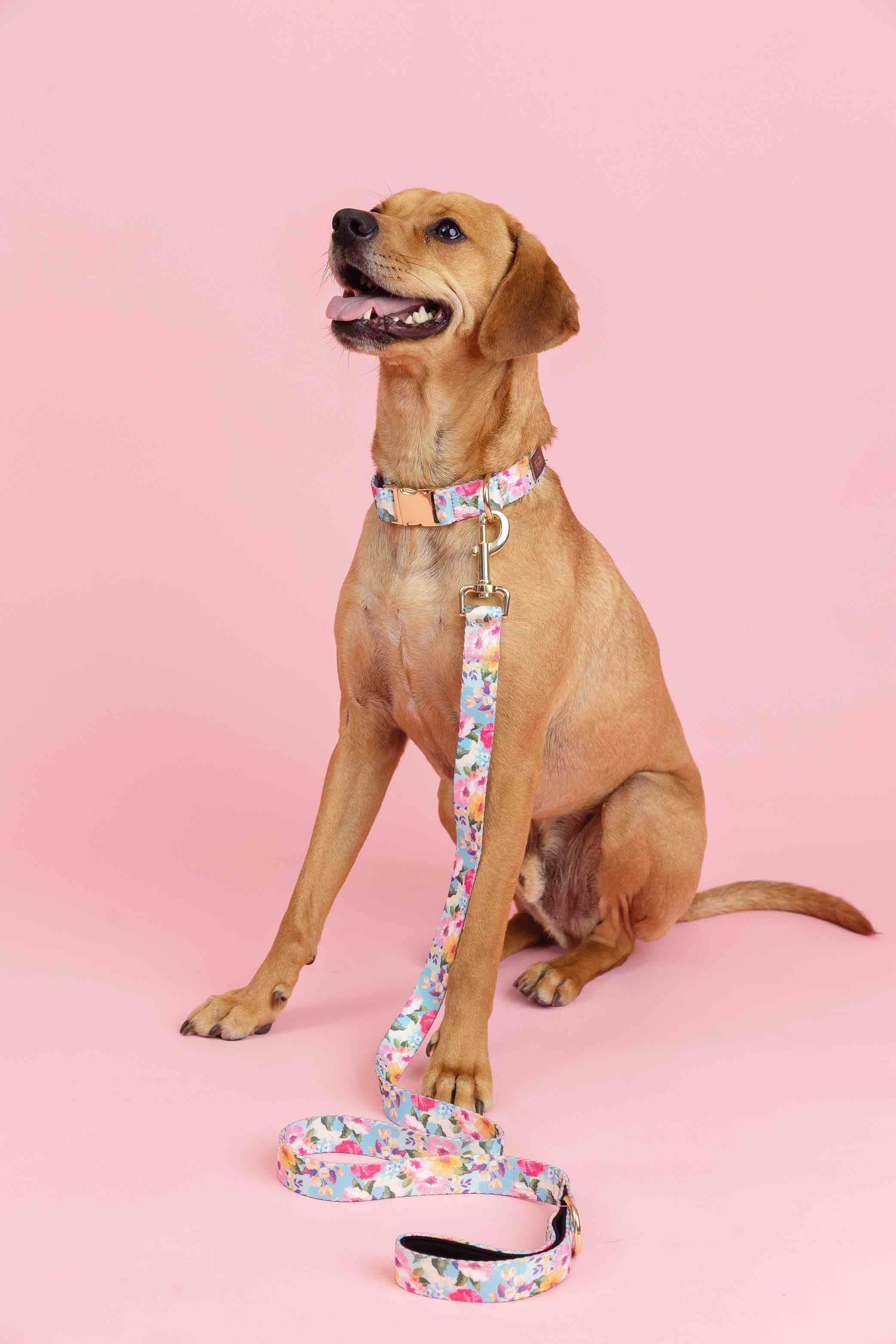 Emery Dog Leash | Pink Papyrus