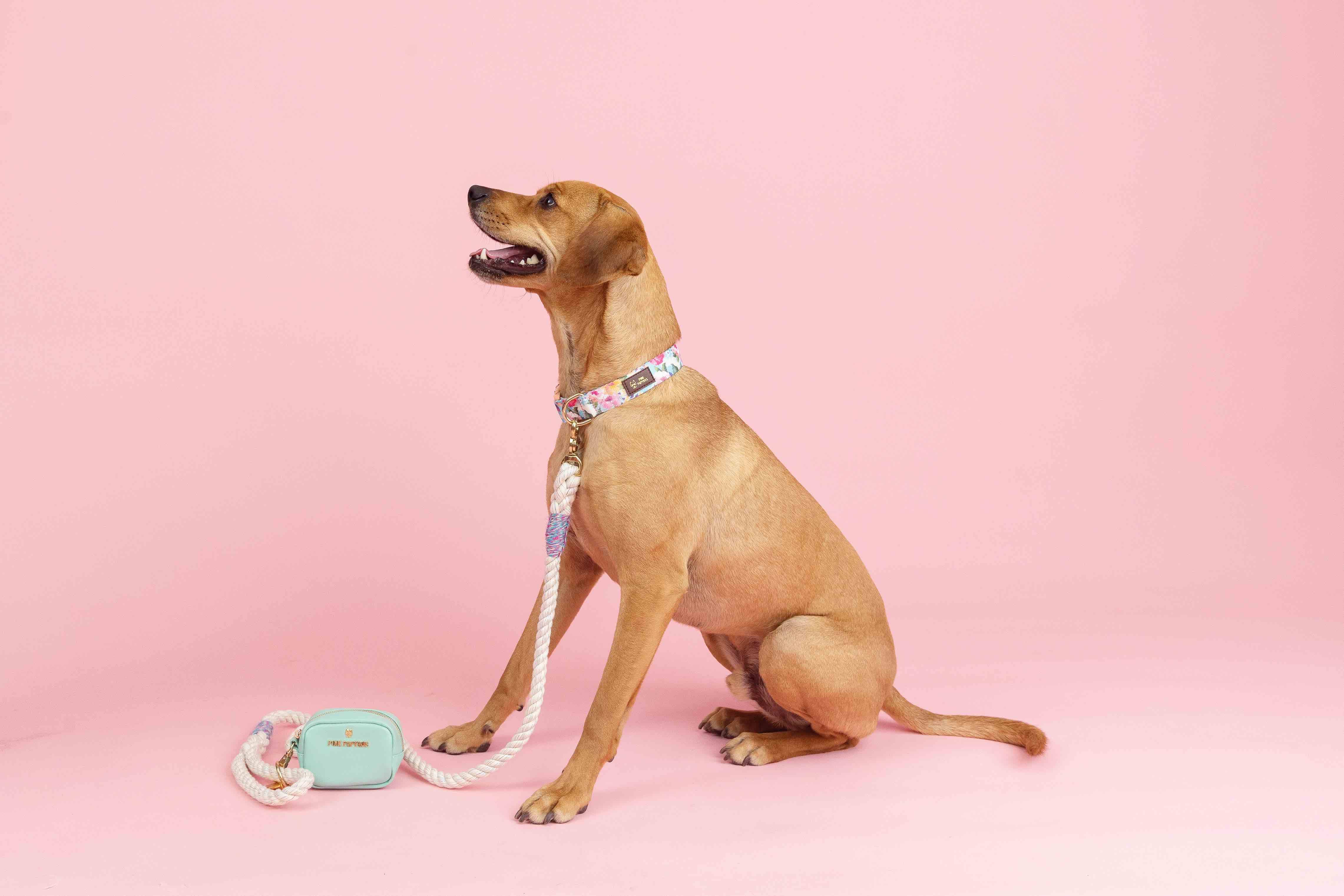 Magnolia Rope Dog Leash | Pink Papyrus