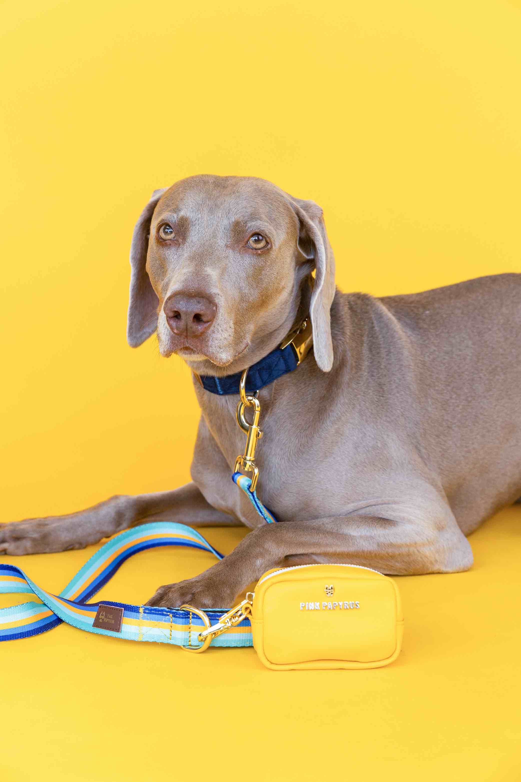 Milo Dog Leash | Pink Papyrus