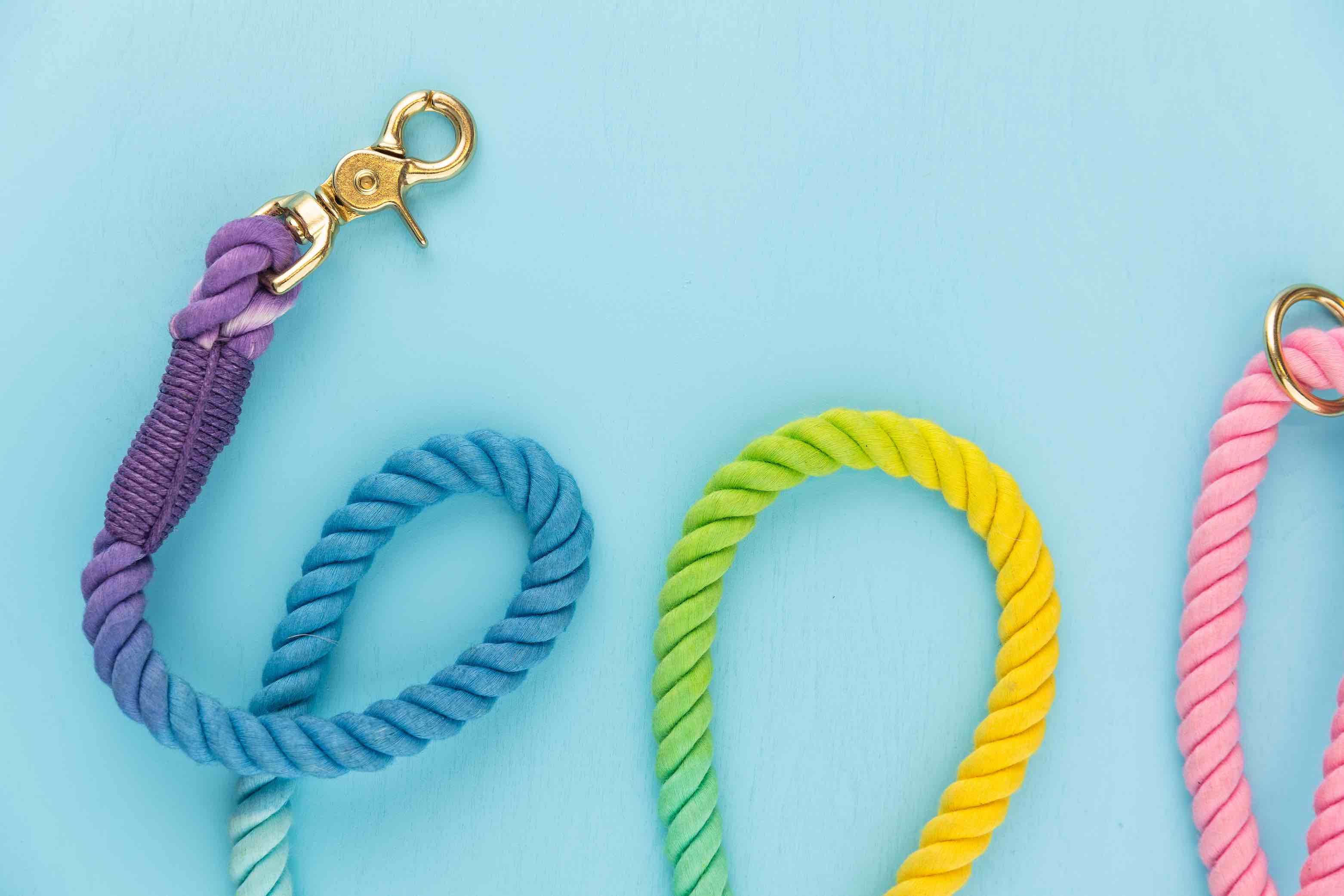 Nola Rope Dog Leash | Pink Papyrus