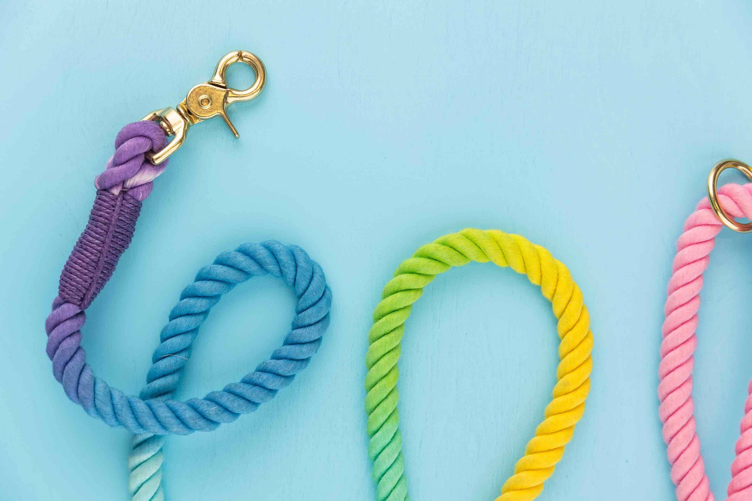 Nola Rope Dog Leash | Pink Papyrus