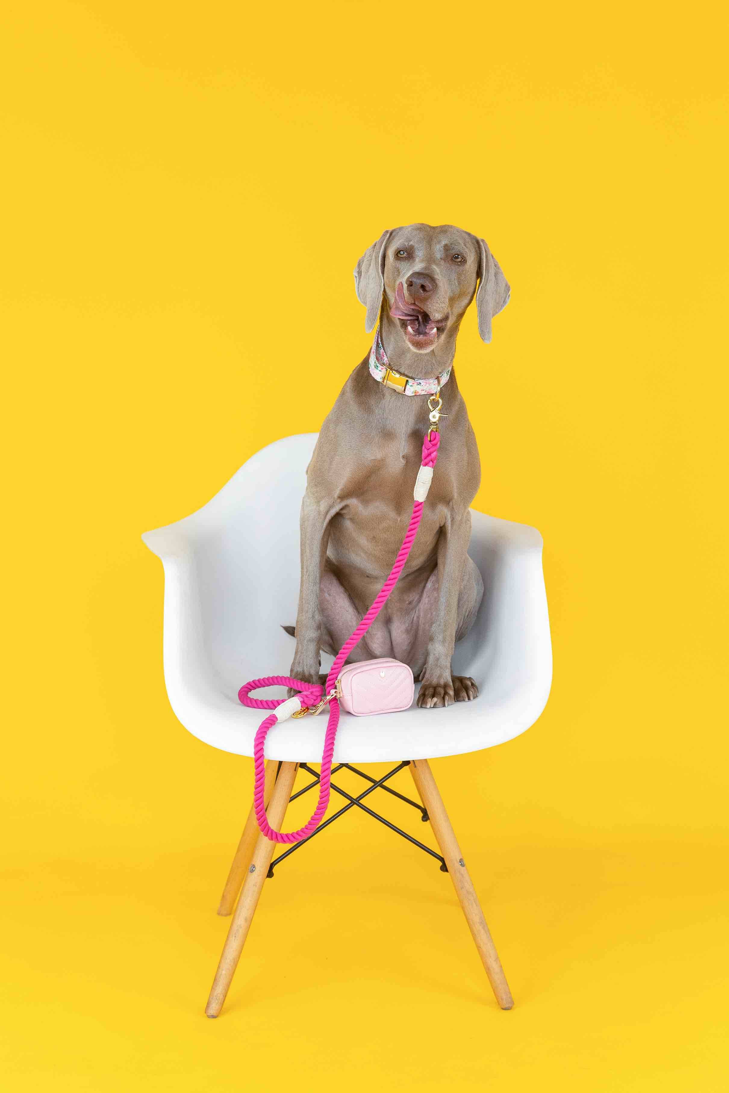 Christine Rope Dog Leash | Pink Papyrus