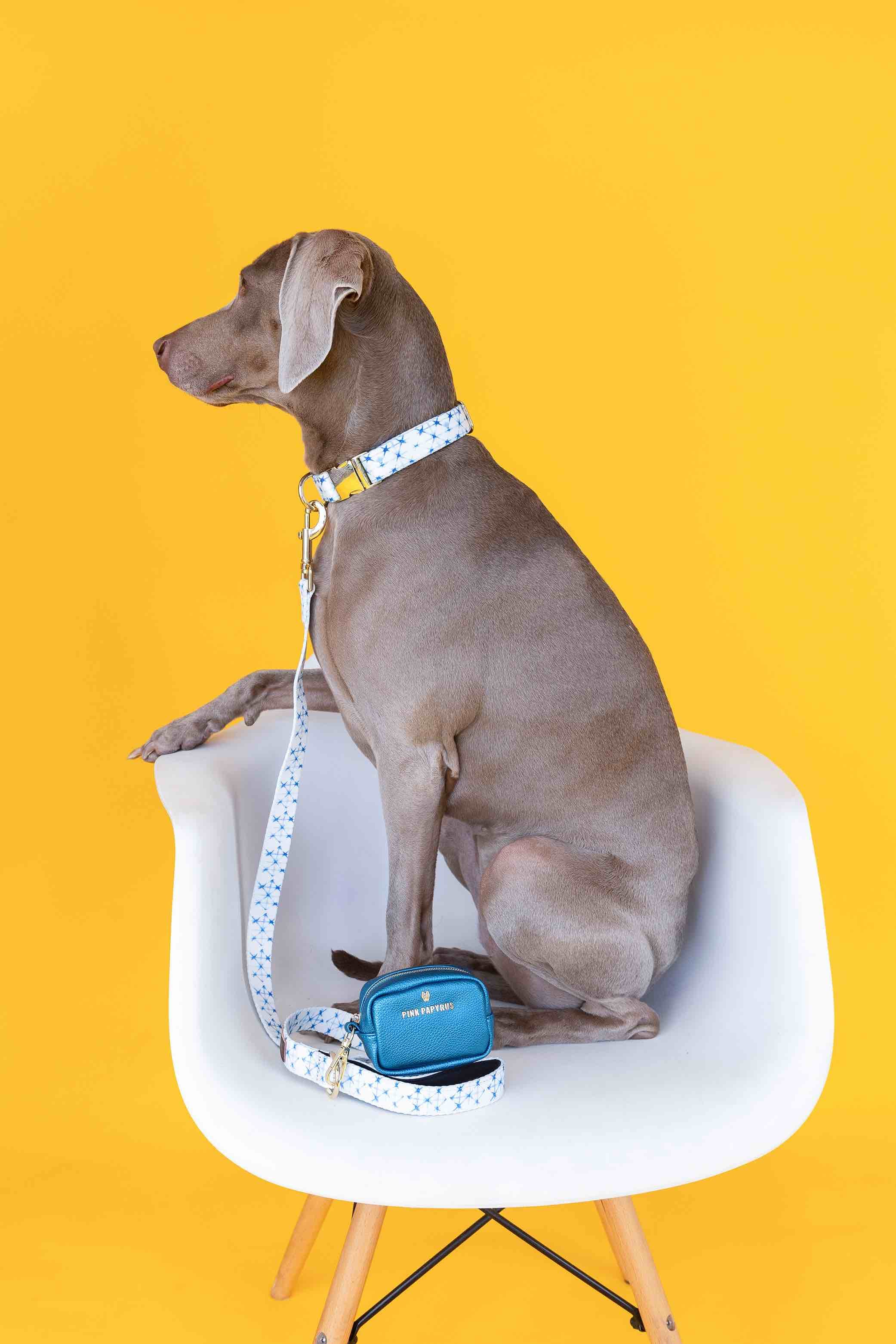 Drew Dog Leash | Pink Papyrus