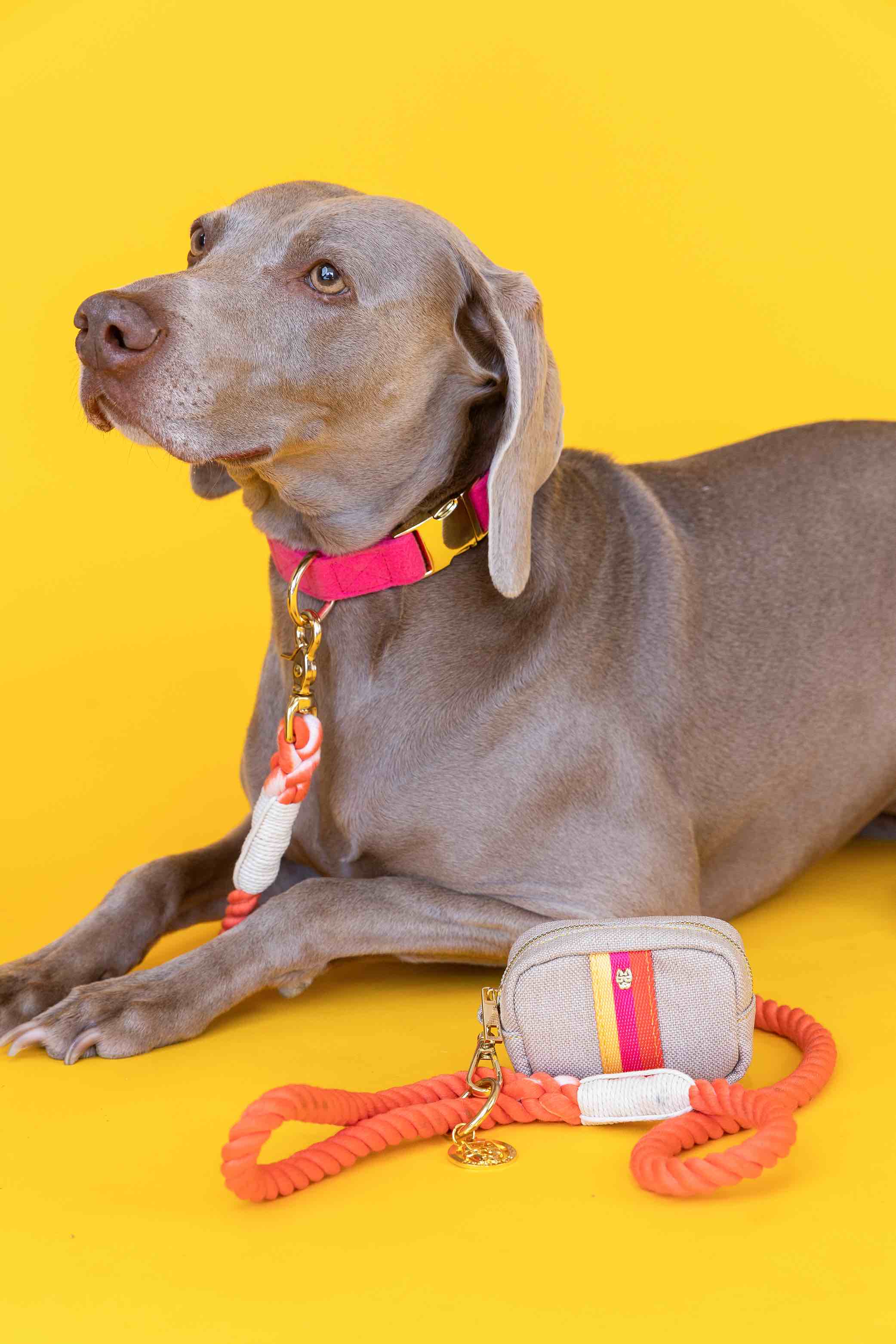 Cora Rope Dog Leash | Pink Papyrus