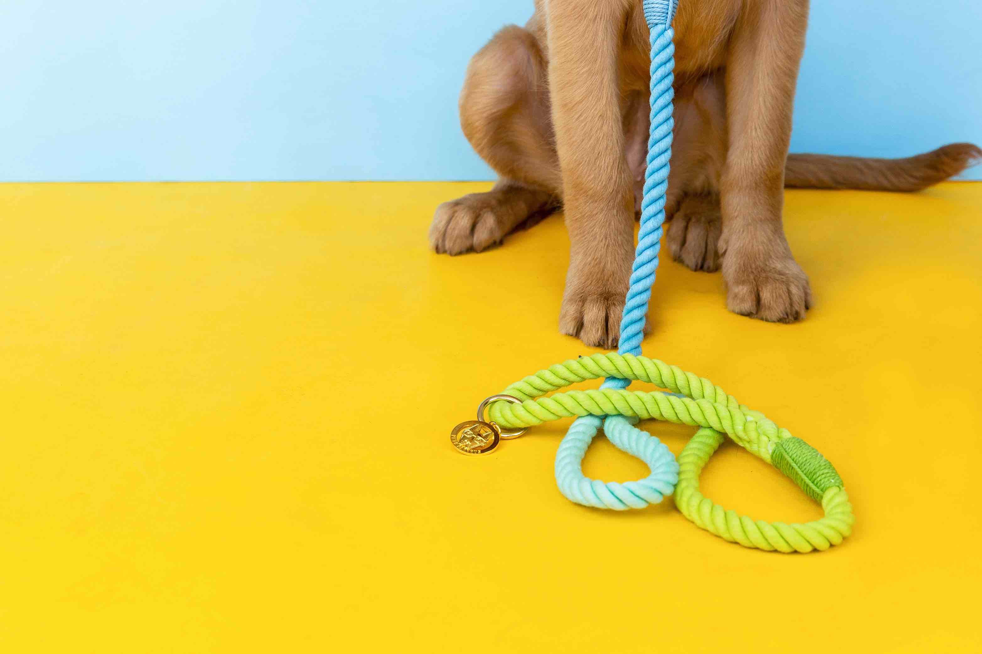 Alexandria Rope Dog Leash | Pink Papyrus