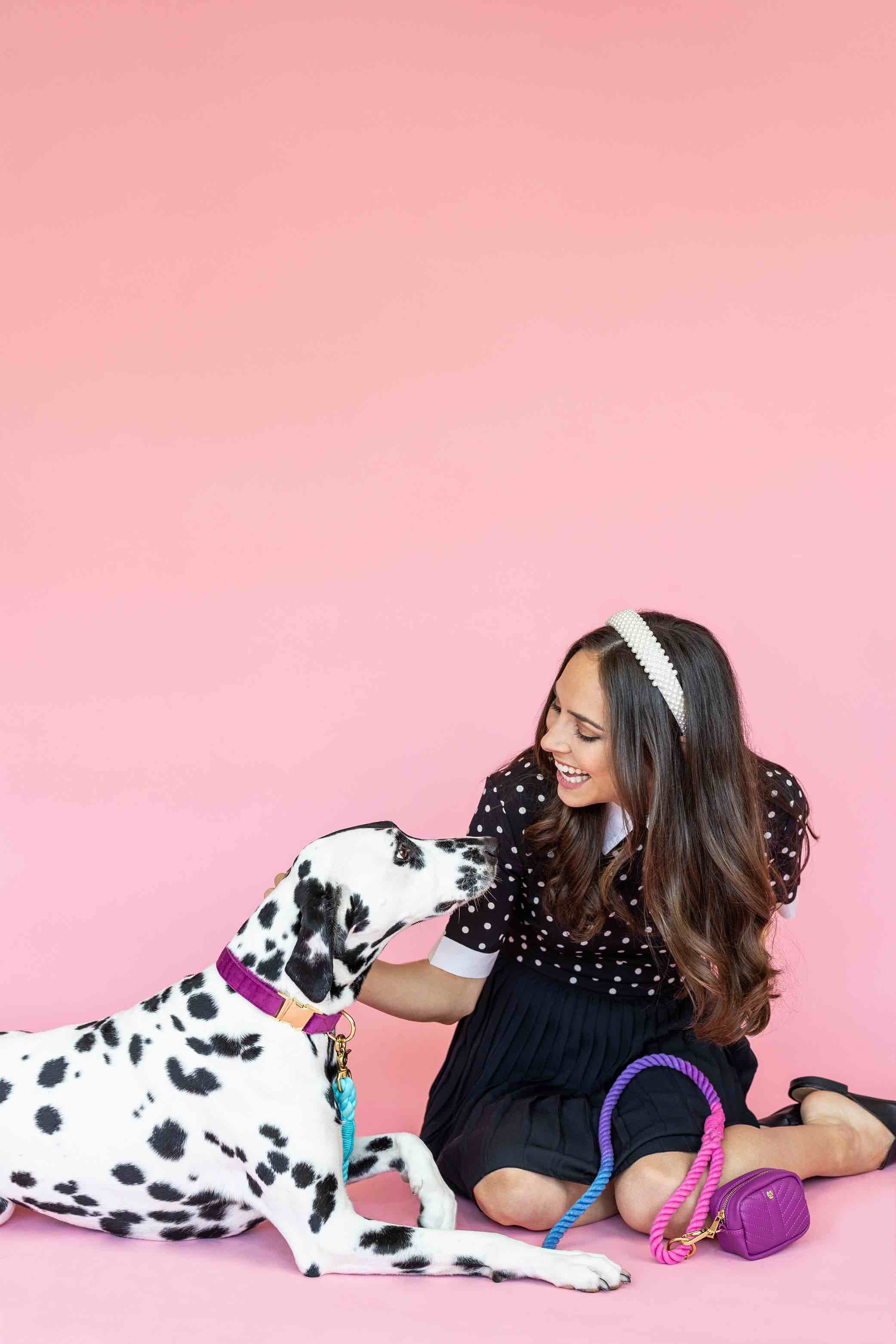 Harper Waste Bag Holder & Treat Pouch