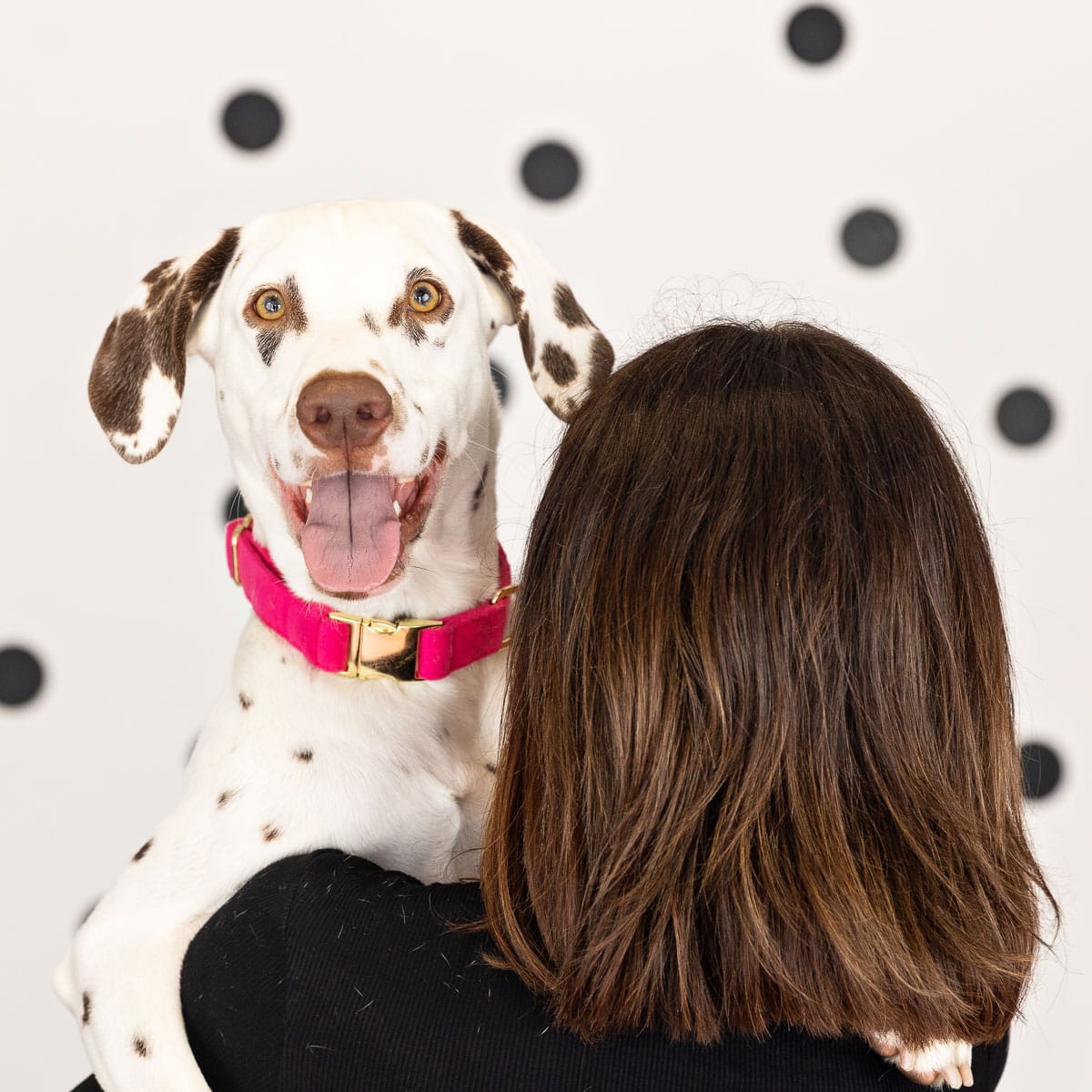 Antoinette Dog Collar | Pink Papyrus