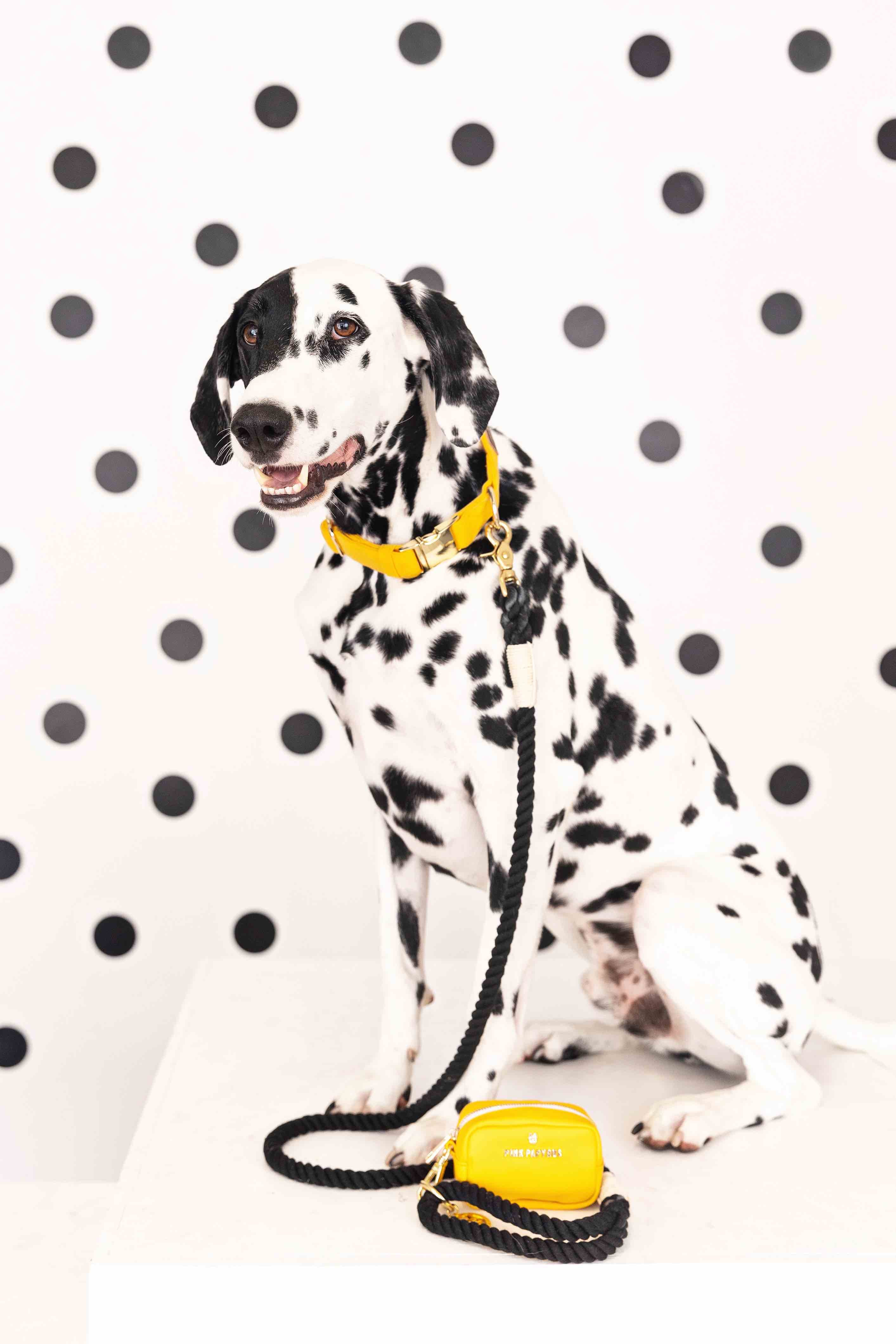 Kerry Rope Dog Leash