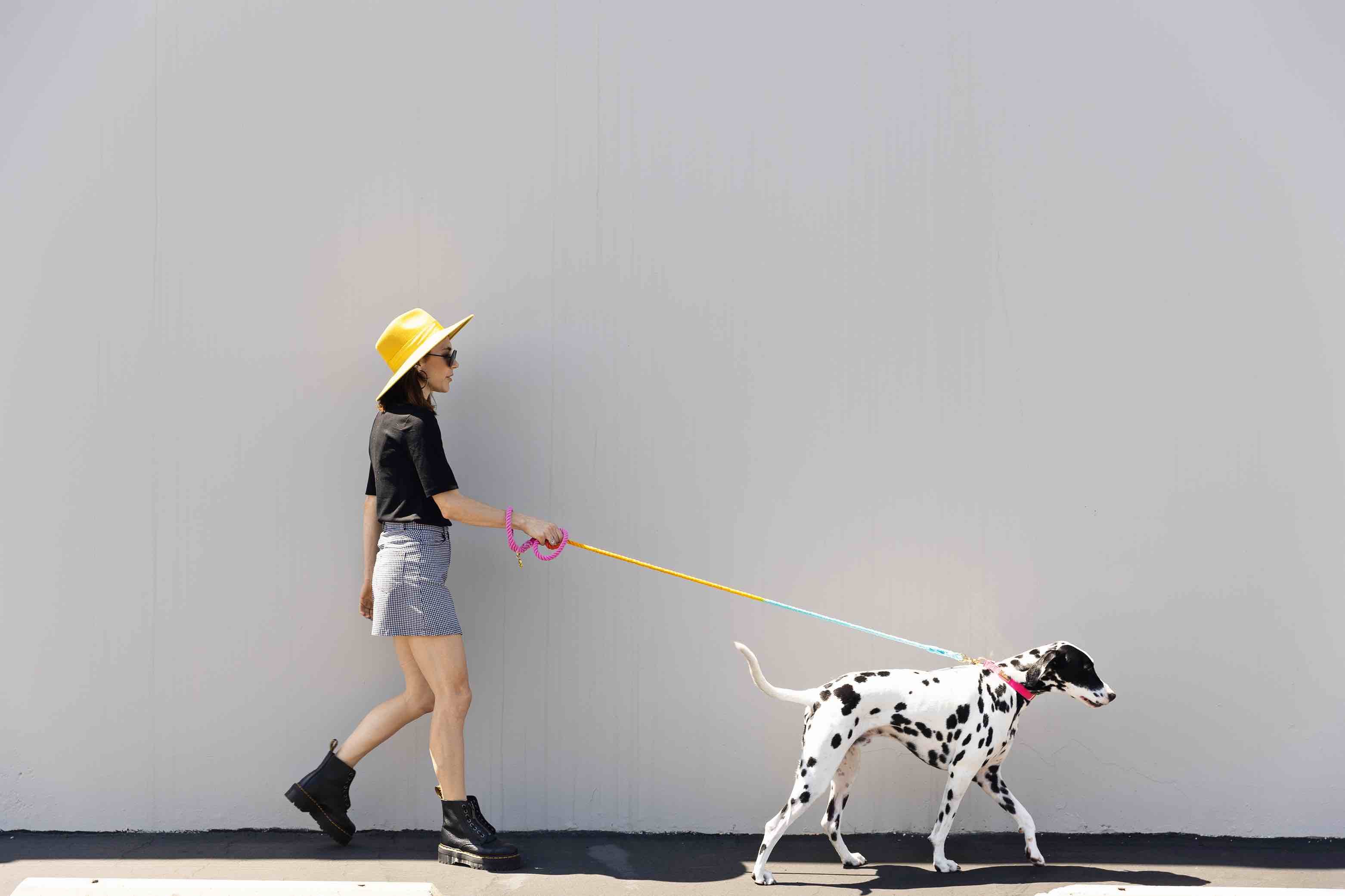 Marley Rope Dog Leash | Pink Papyrus